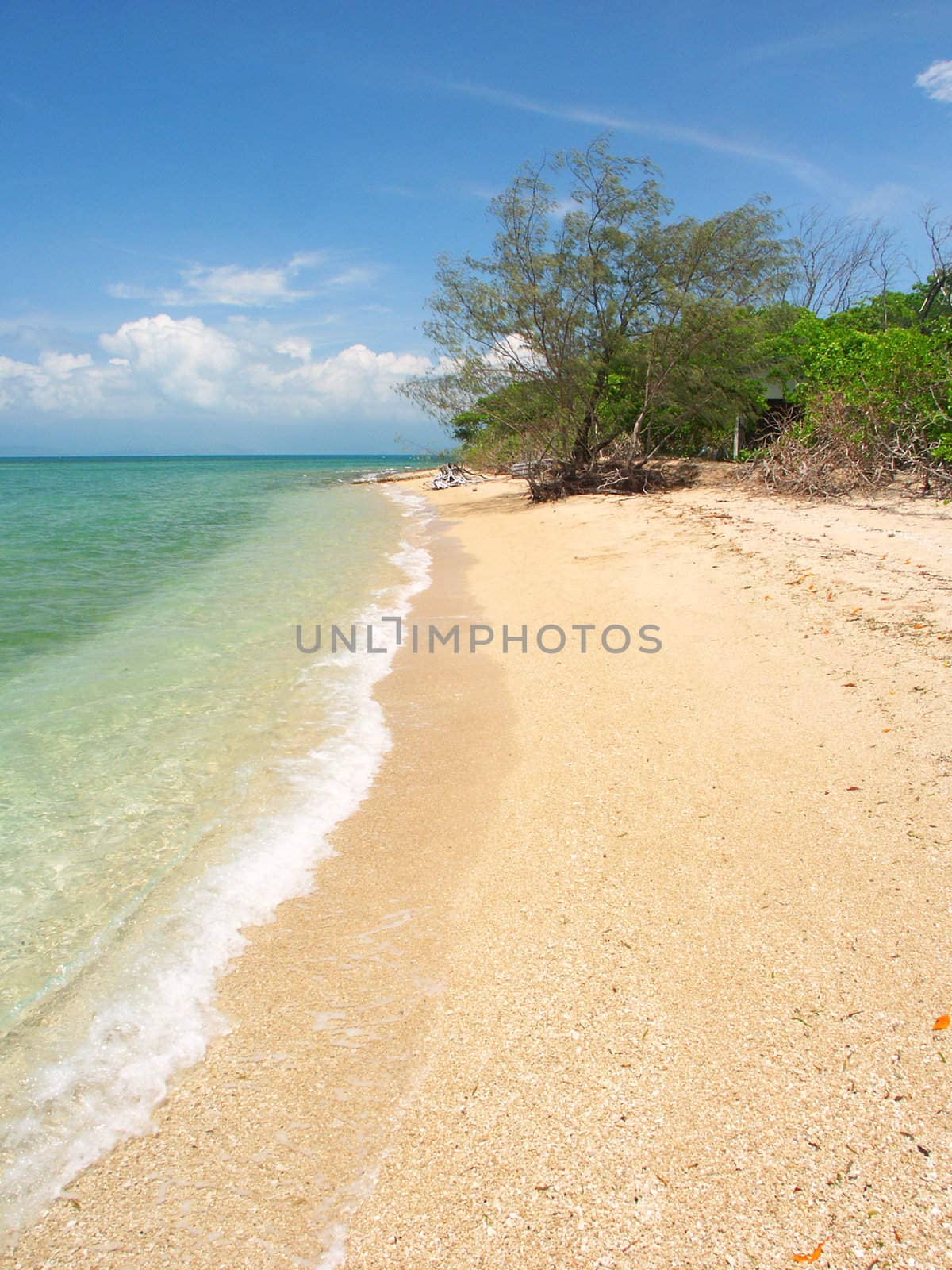 Tropical beach on the Low Isles in beautiful Queensland, Australia.