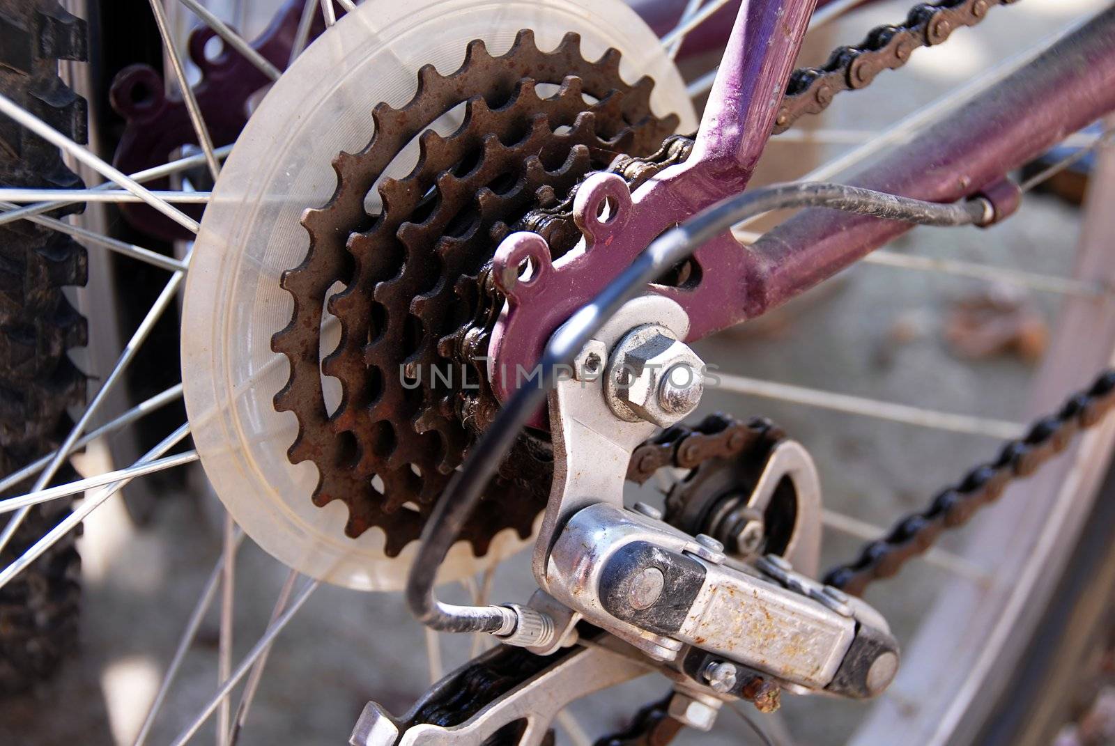 rusty bicycle gears for speed regulation closeup outdoor