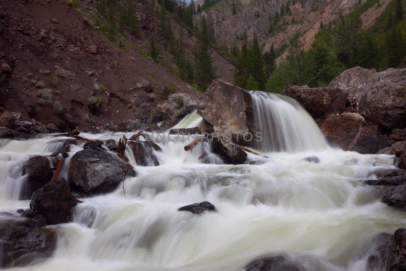 mountain river. fast stream water. summer landscape