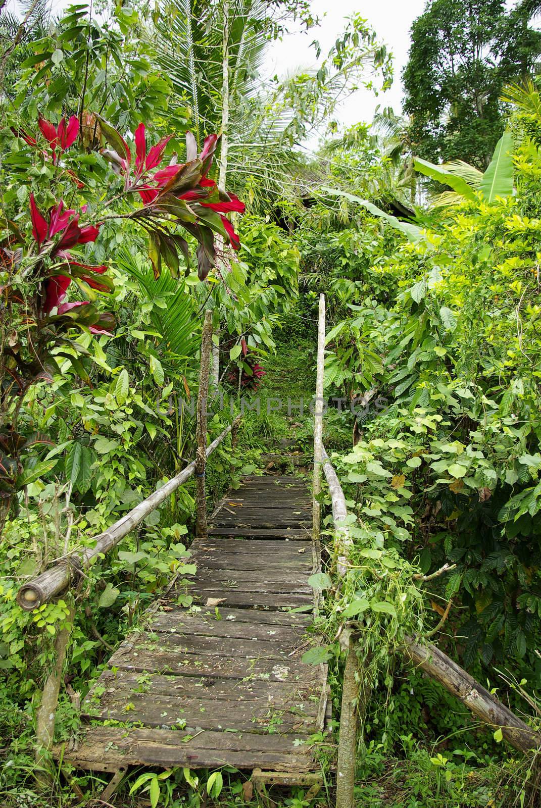 It's an old gateway, wet and worn, lost in the lush vegetation of Bali island