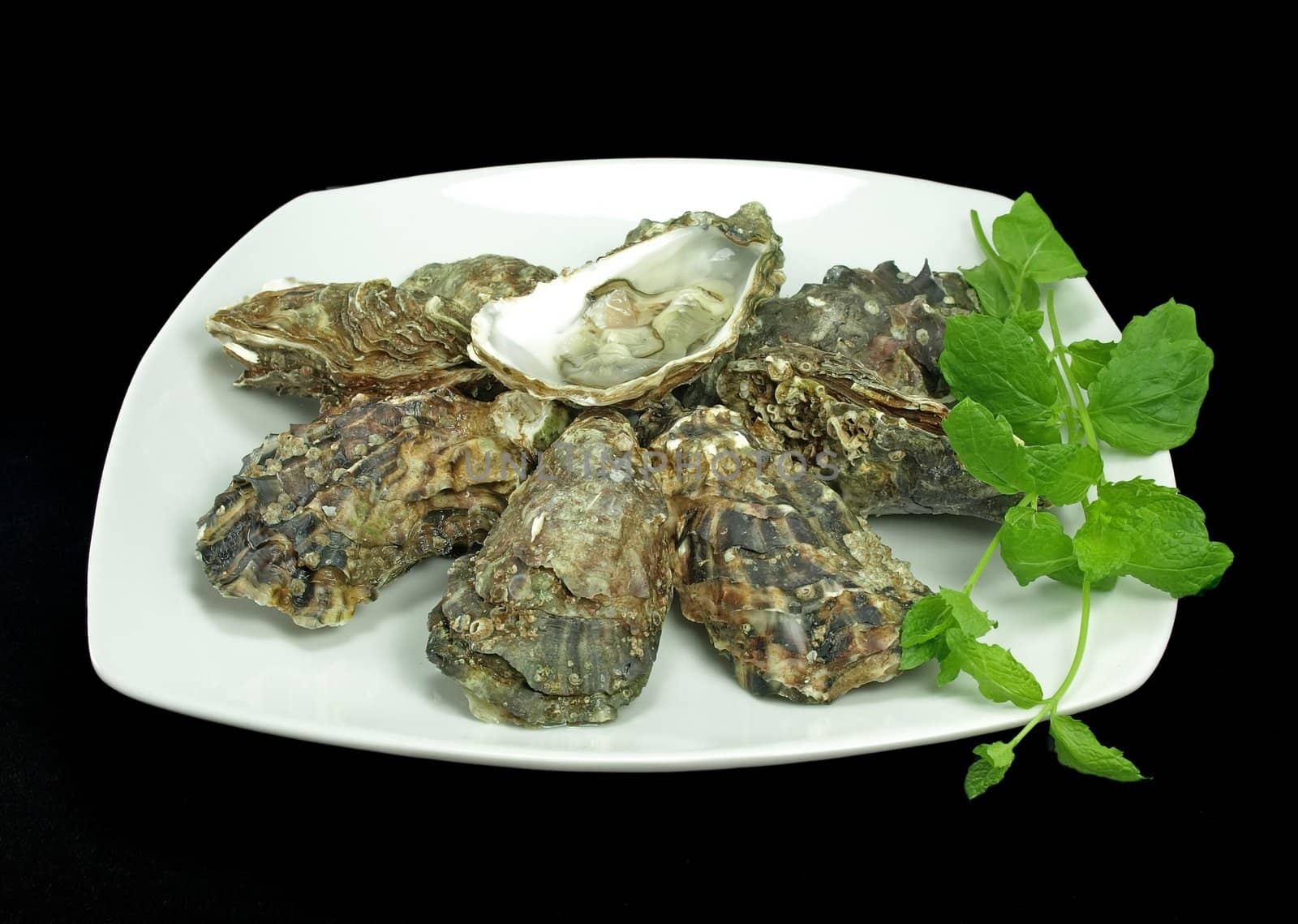 a plate of fresh oysters garnished with mint herb on black background