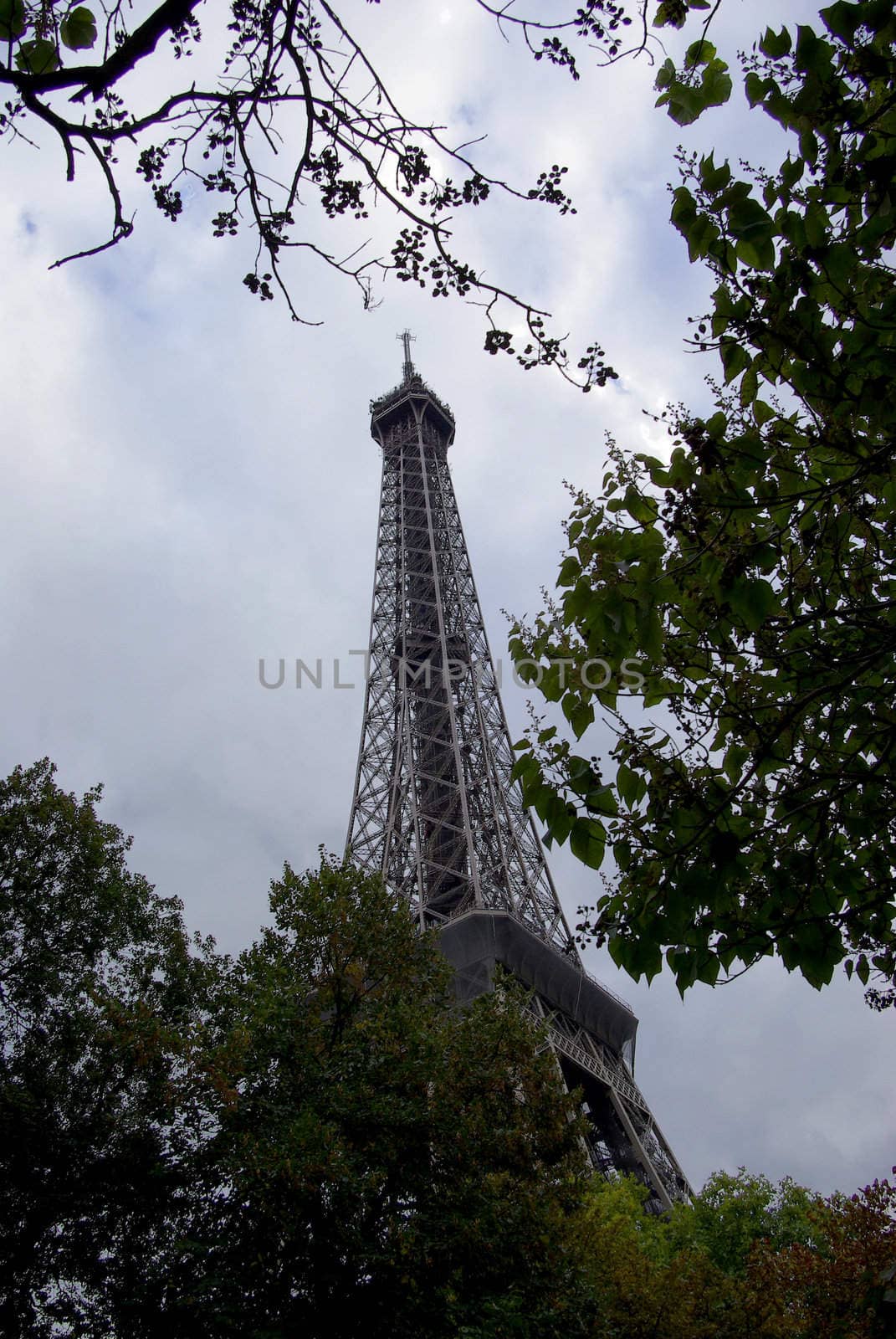 Eiffel Tower between foliage
