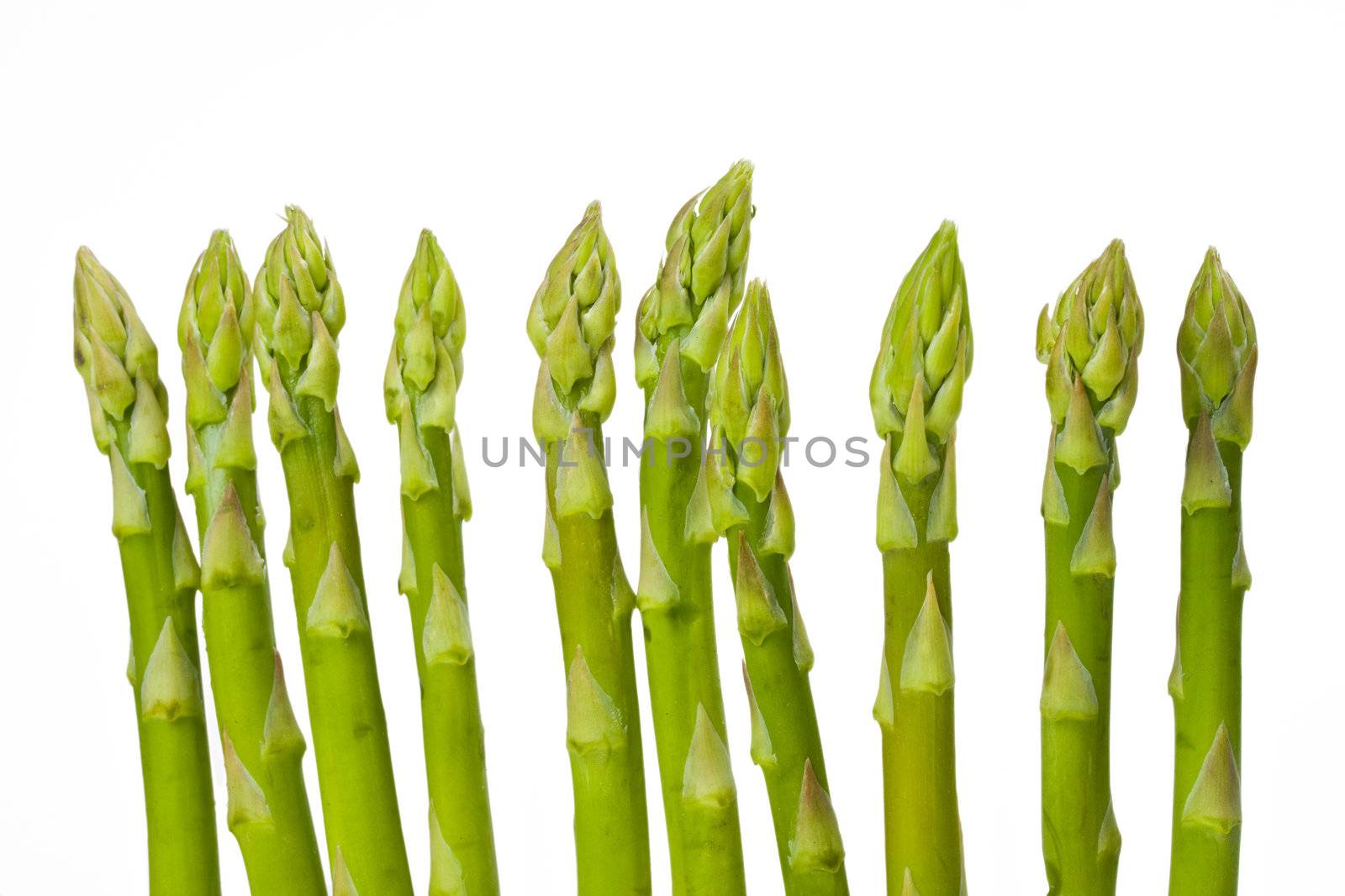 fresh green asparagus isolated on white background