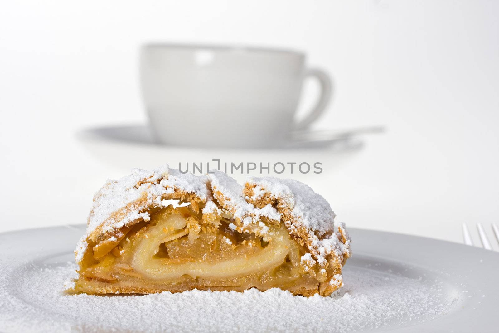 detail of an apple strudel with icing sugar