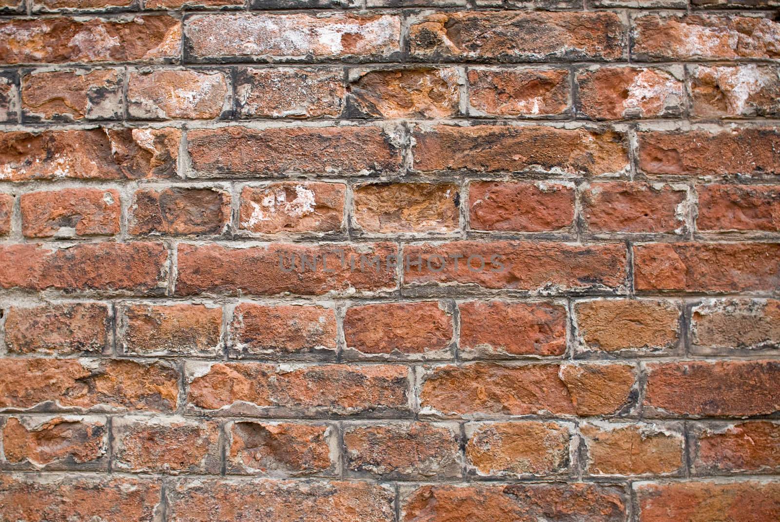 a close-up of an old aged red brickwall