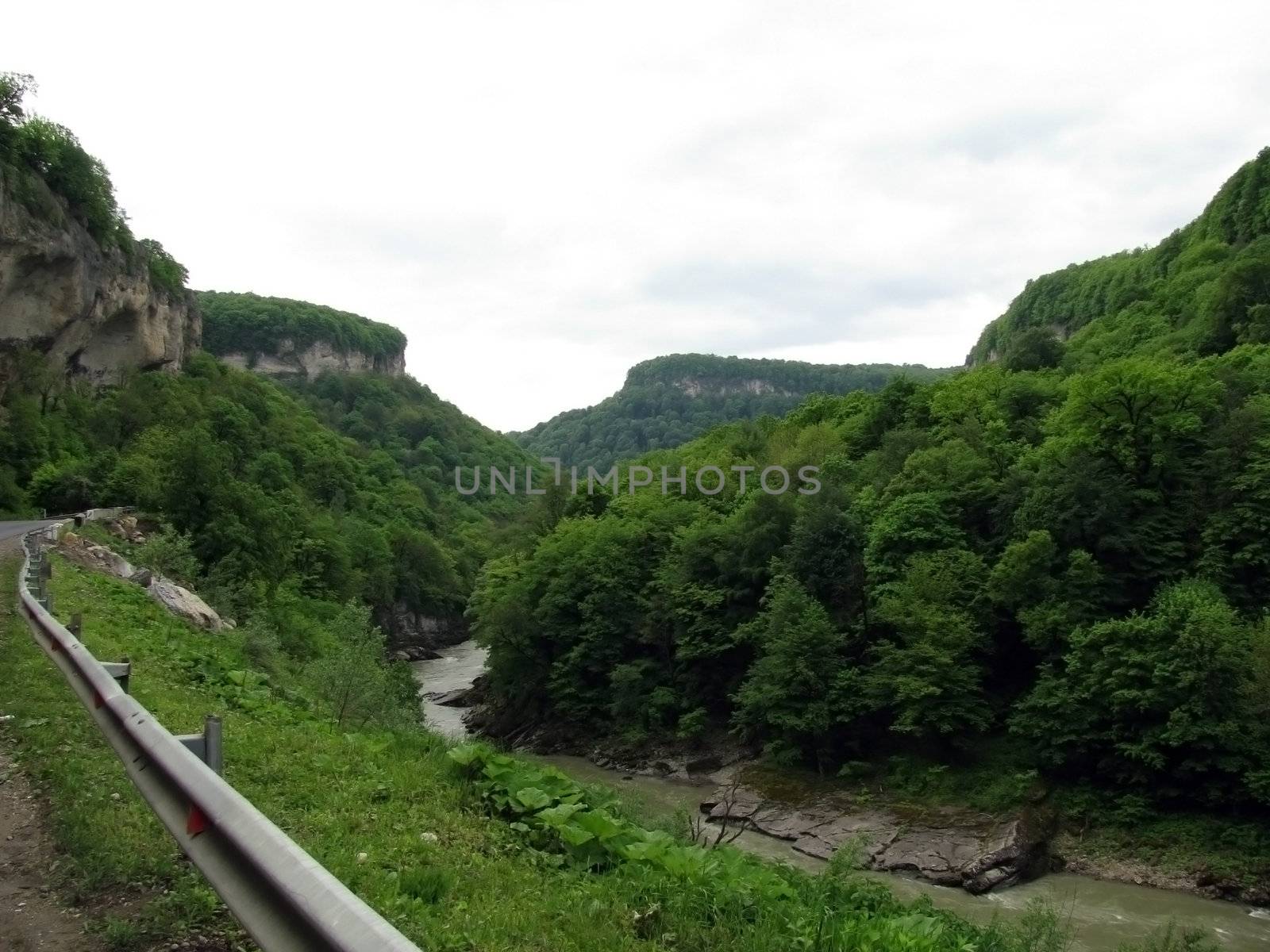 Mountains, spine, verdure, wood, river, gorge, railing, nature, beauty, landscape, type, background, Caucasus, relief, landscape, tree