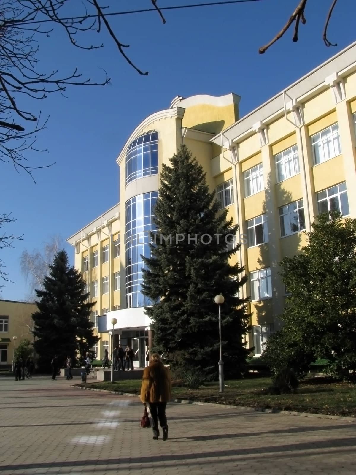 University by Viktoha