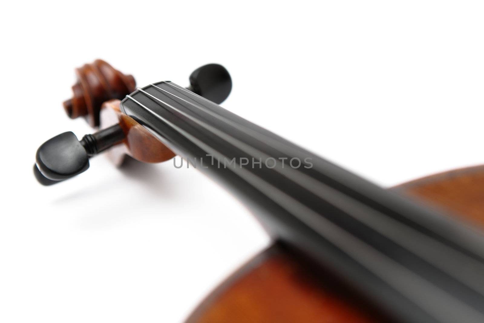 violin head