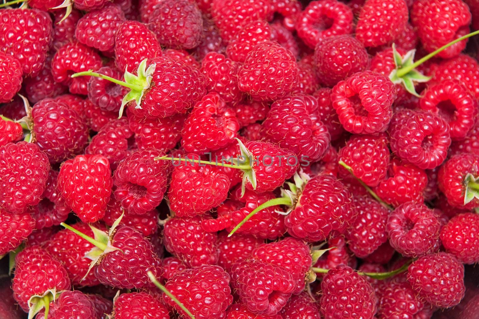 An abstract image of fresh raspberries