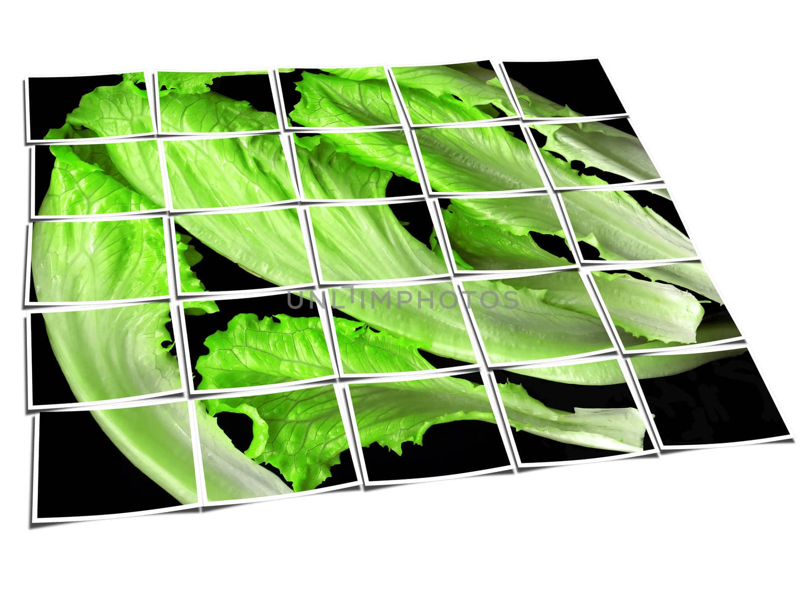 lettuce leaves collage by keko64