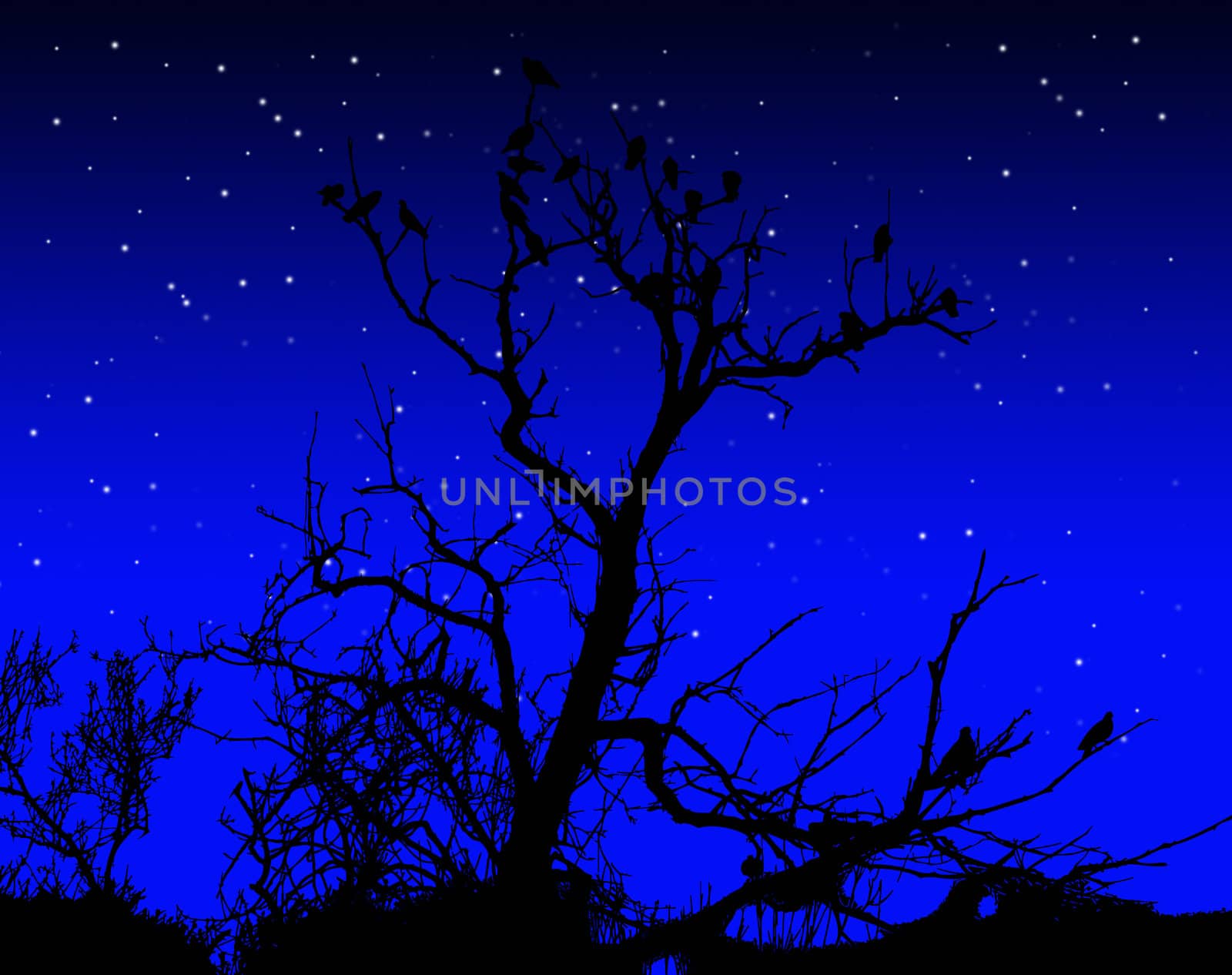 Illustration of birds on a silhouetted tree.
