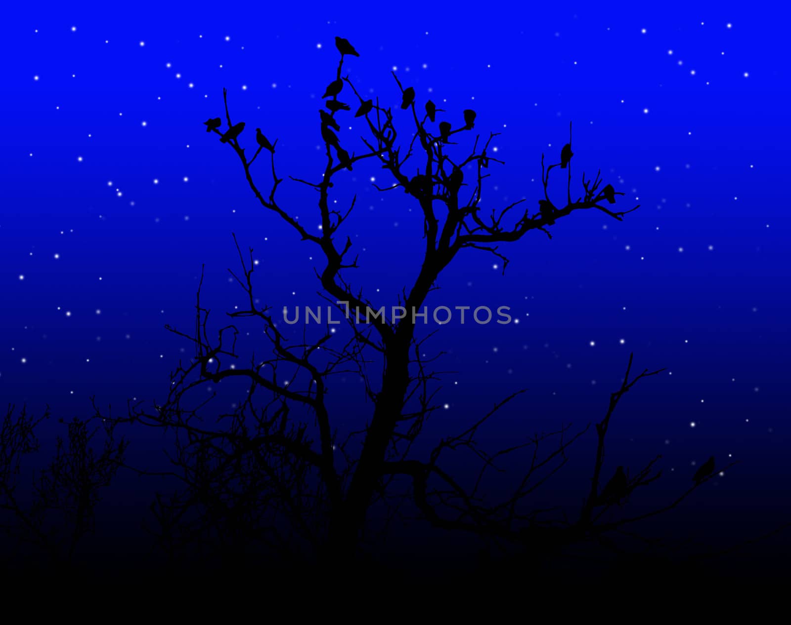 Illustration of birds on a silhouetted tree.