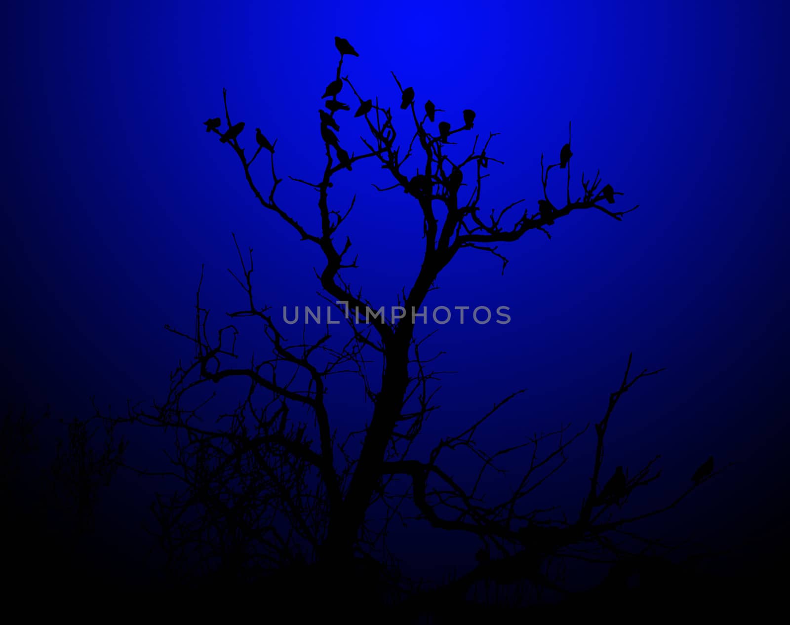 Illustration of birds on a silhouetted tree.