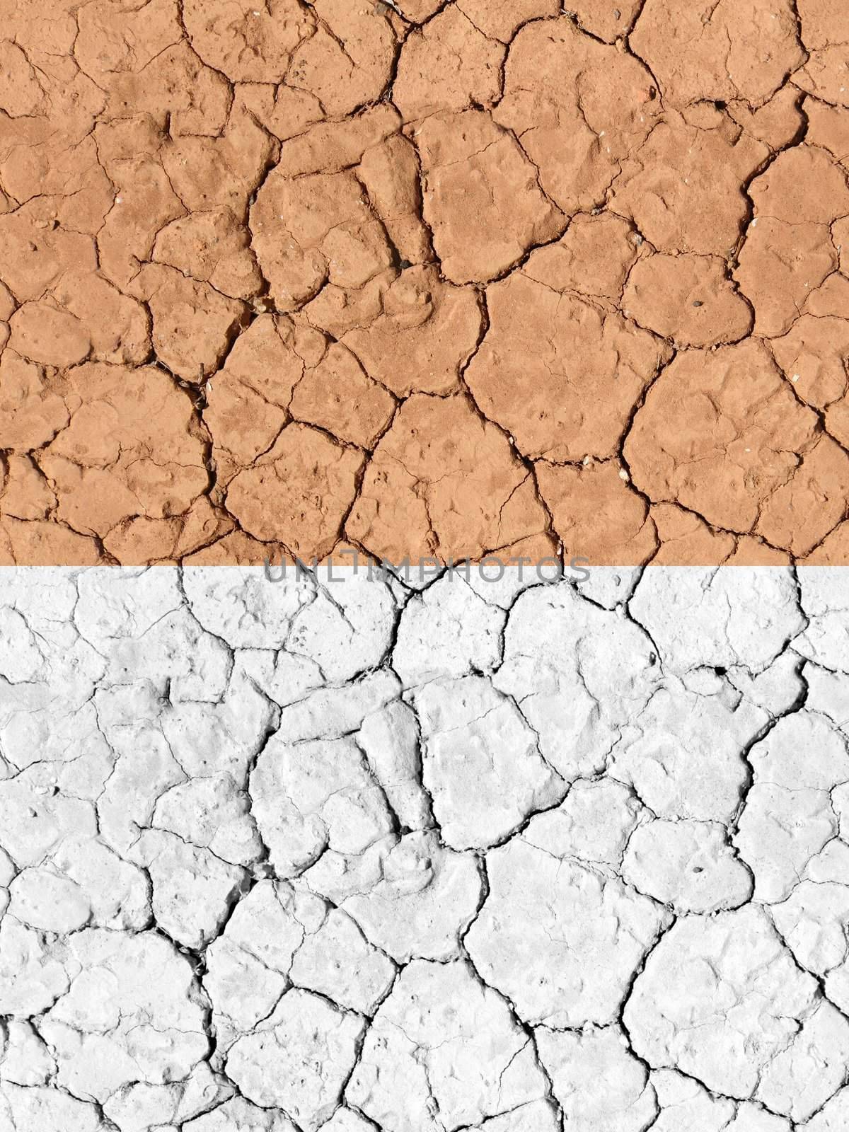 Tilable Texture - Dry Desert Ground by PixBox