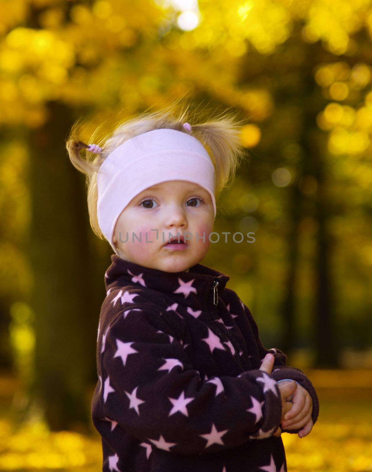 adoreable little girls portrait in autumn