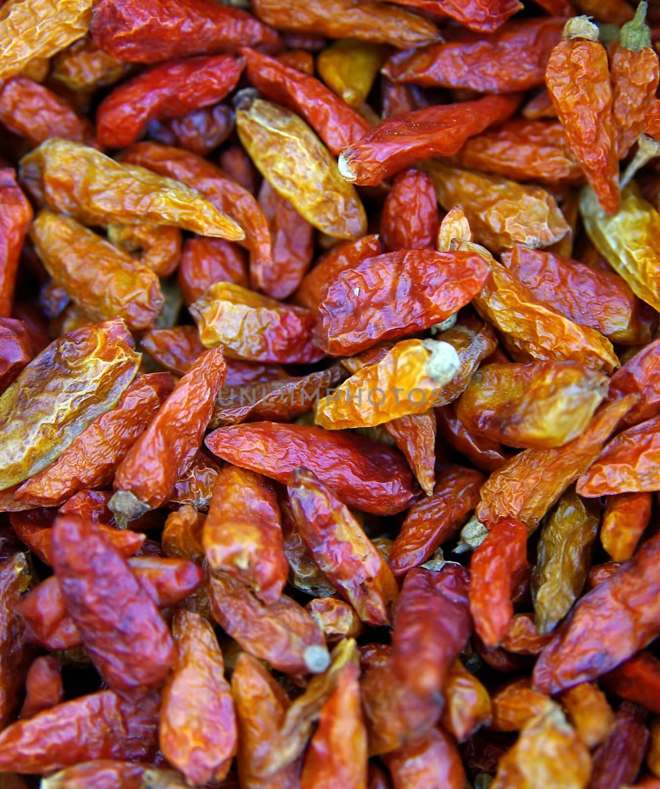 Dried Chillies by FotoFrank