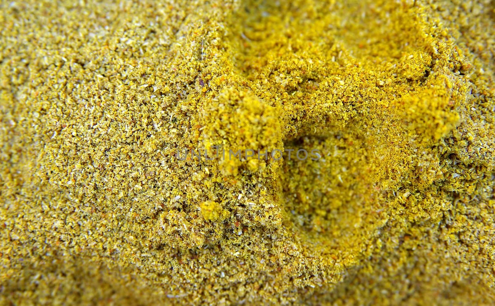 yellow curry powder by FotoFrank