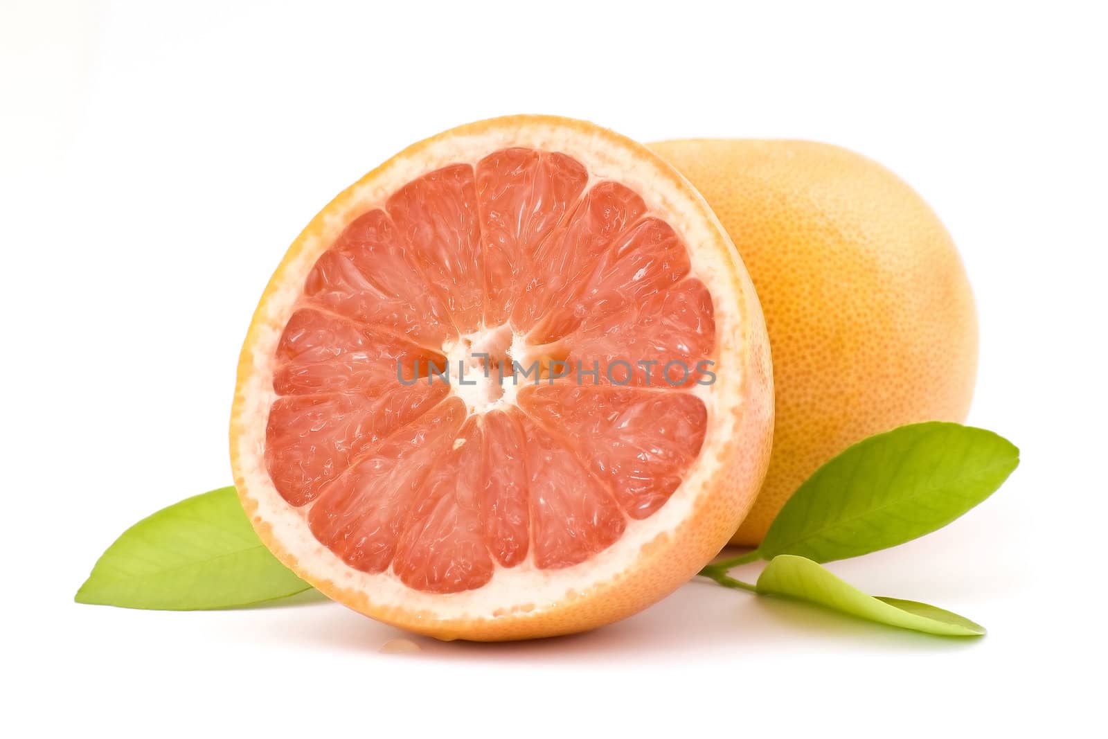 red grapefruit by miradrozdowski