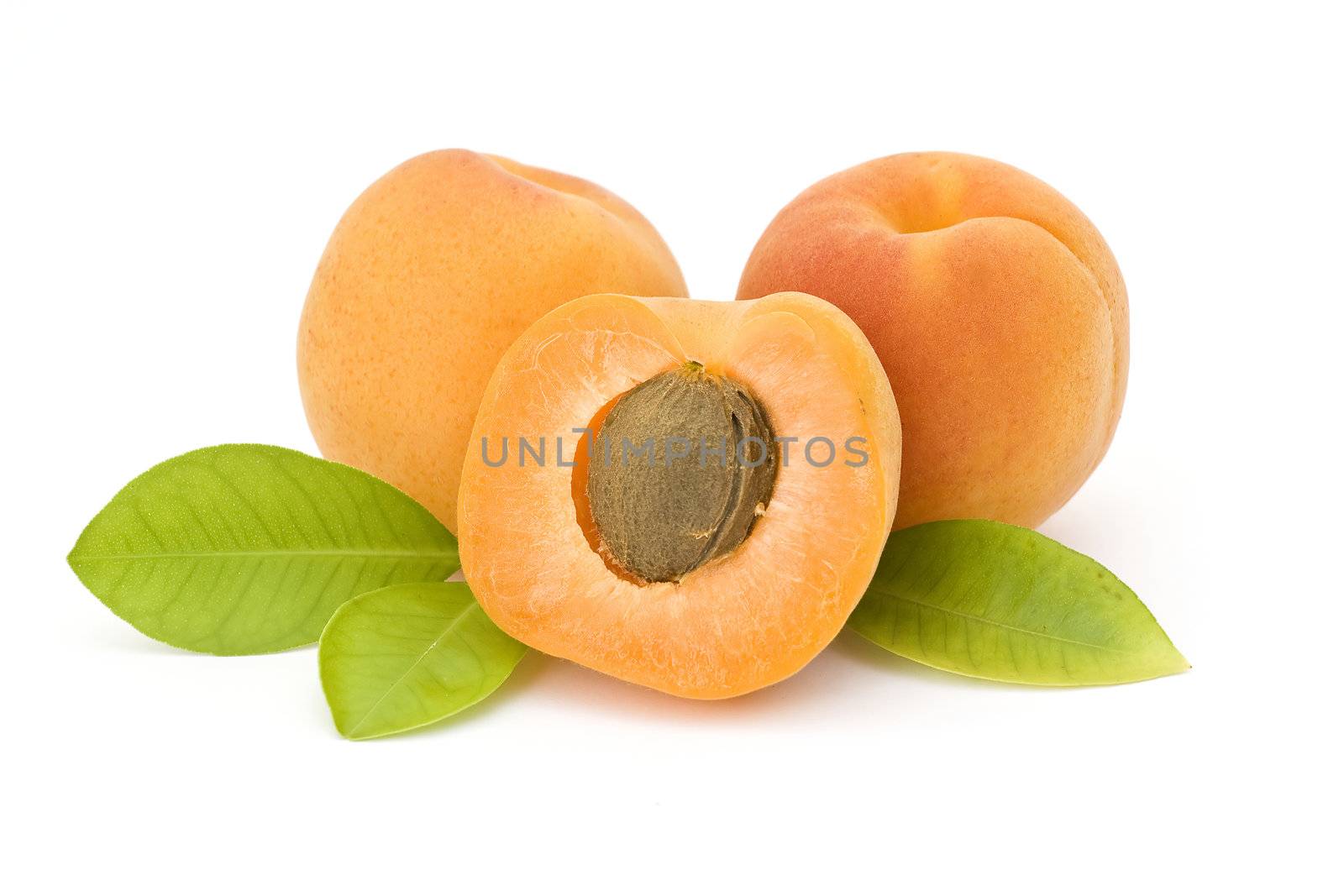 peaches on white background