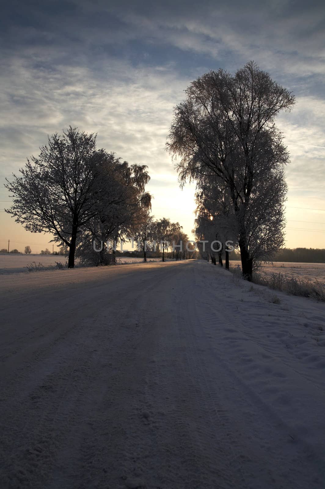 Road in snow by Nikonas