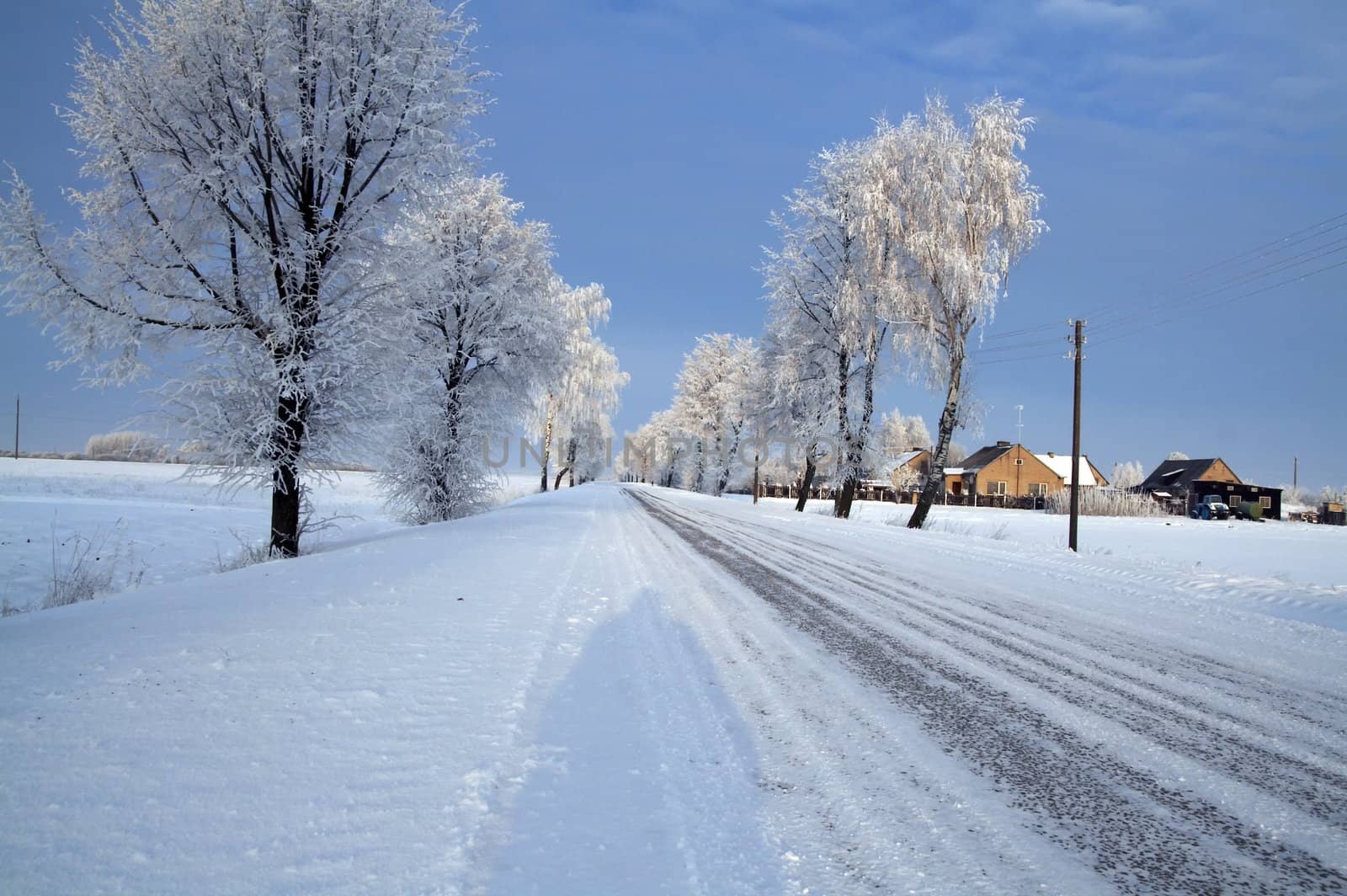 Road in snow by Nikonas