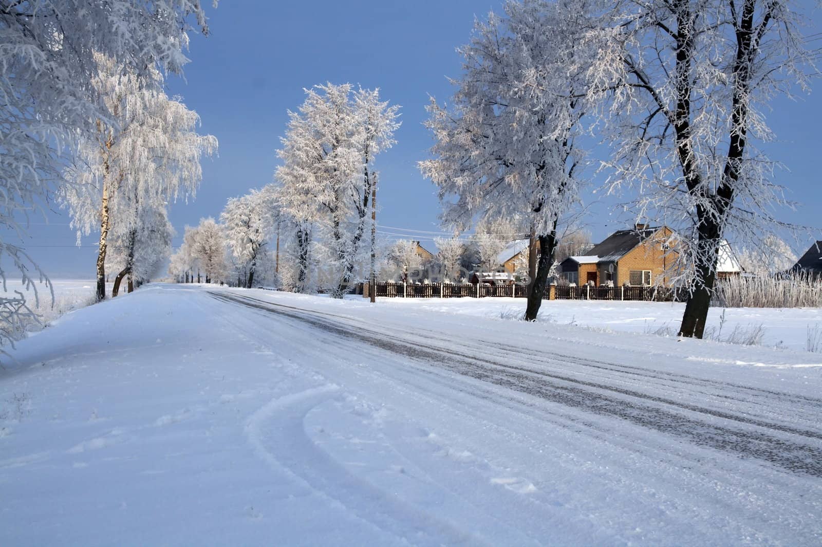 Road in snow by Nikonas