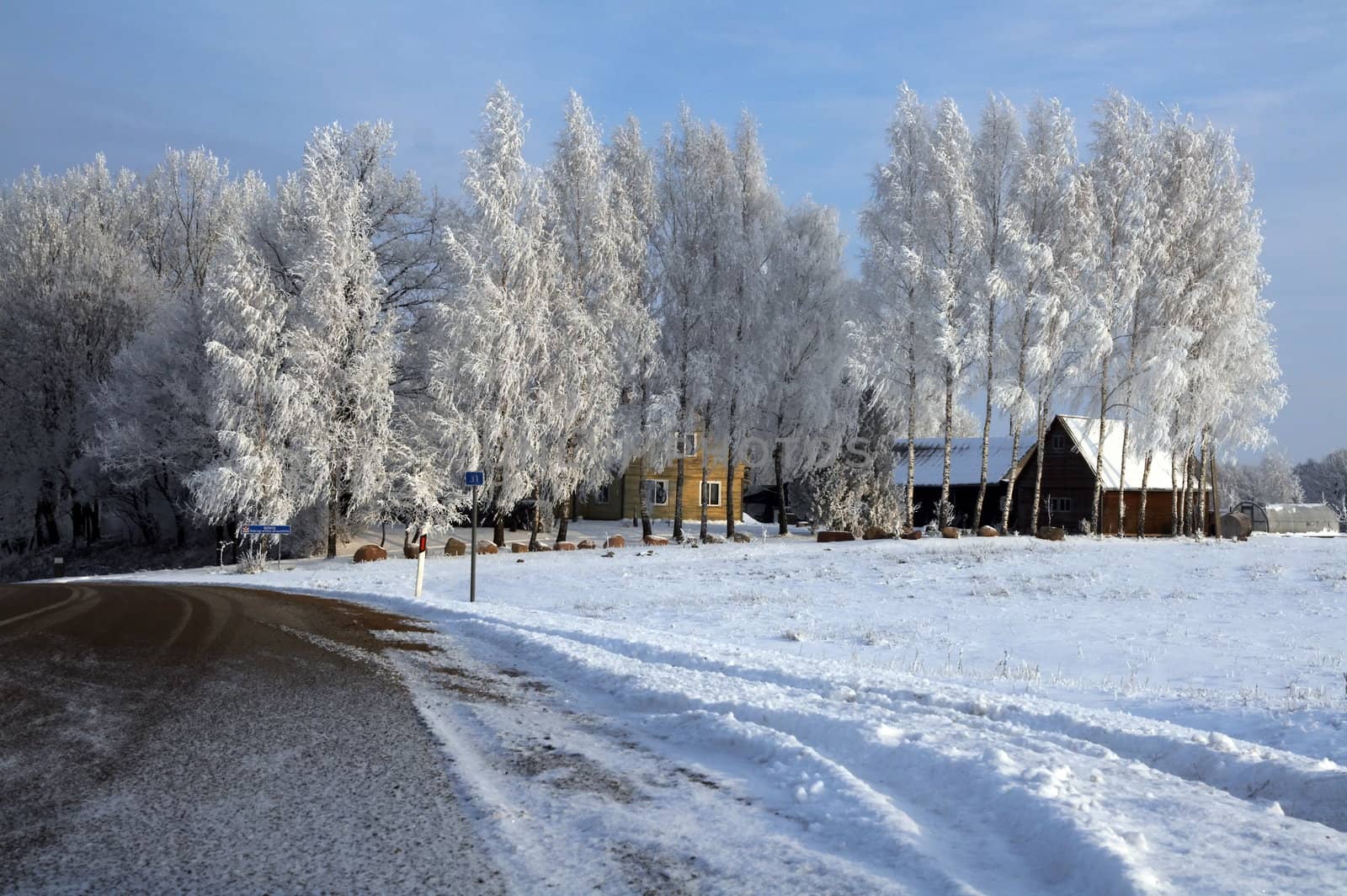 Road in snow - winter scene 