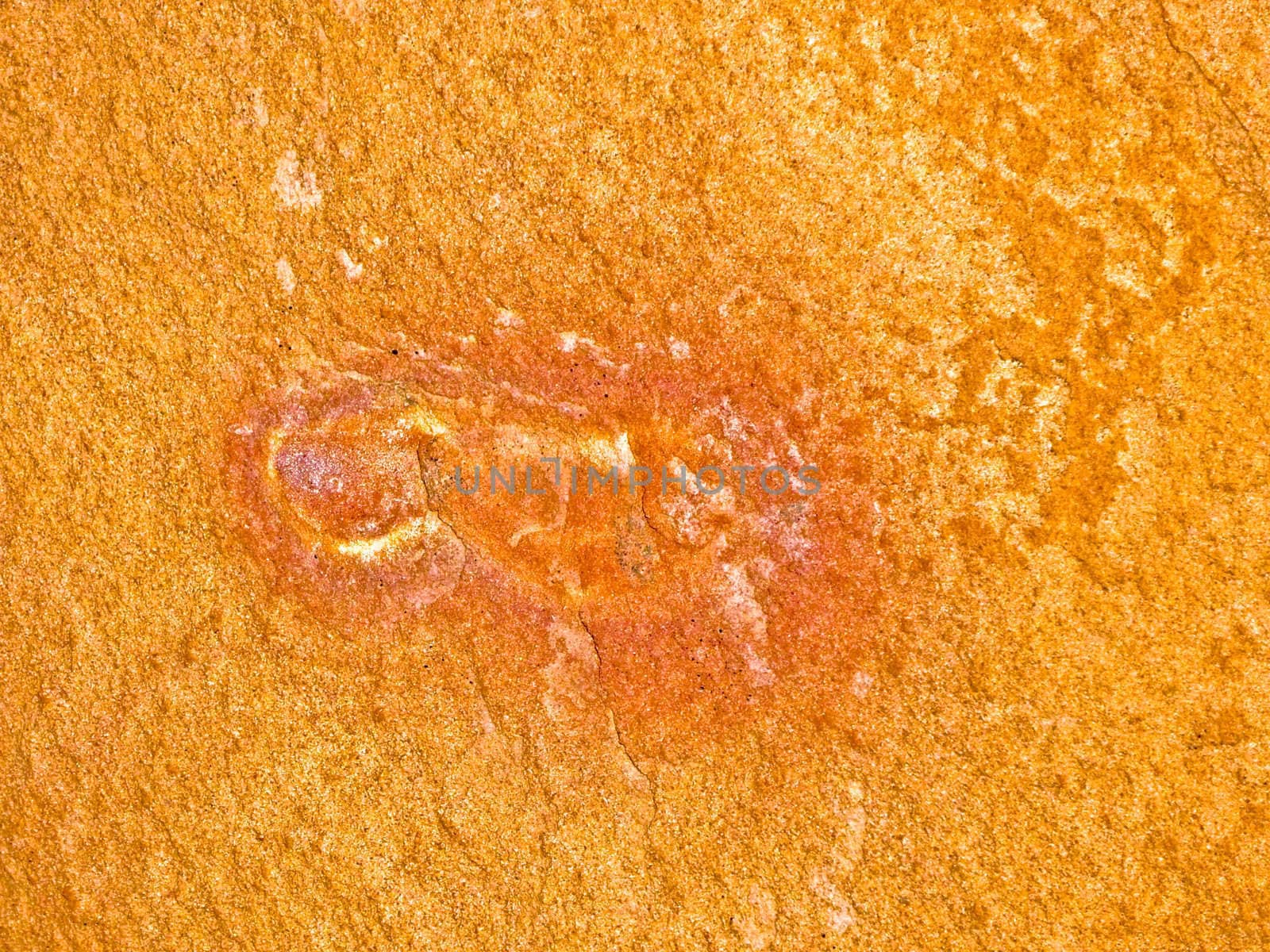 Pictograph of animal on sandstone rocksurface Valley of Fire