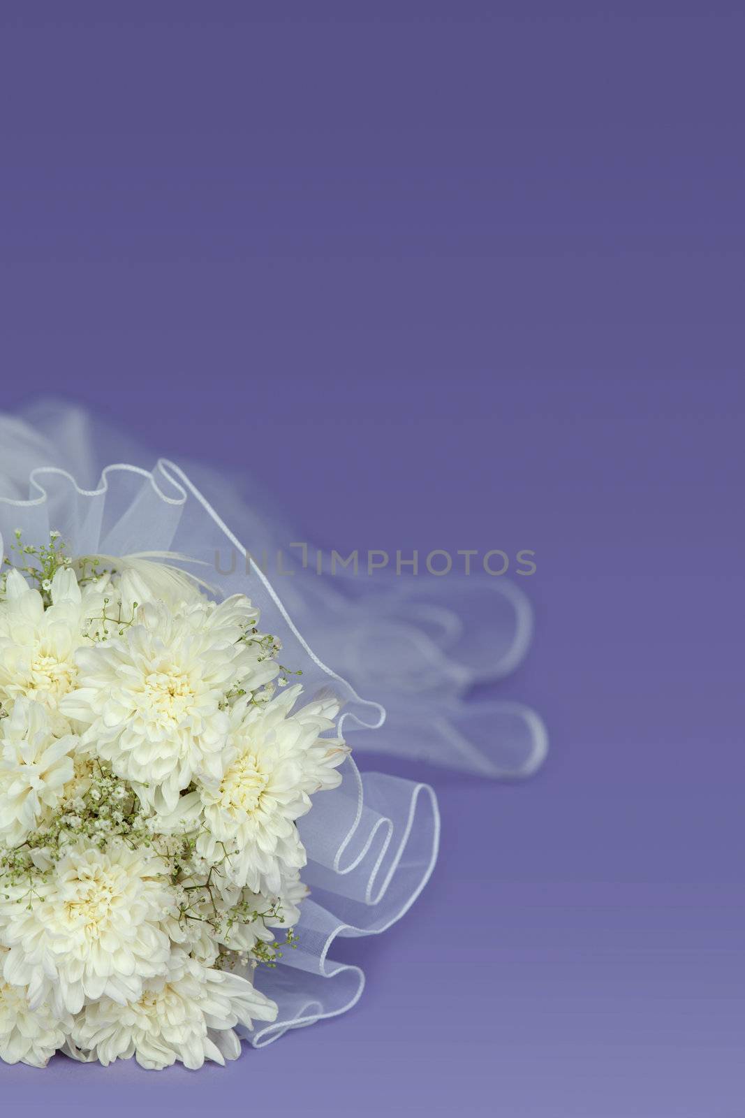 Bouquet of the bride on a violet background - a wedding composition