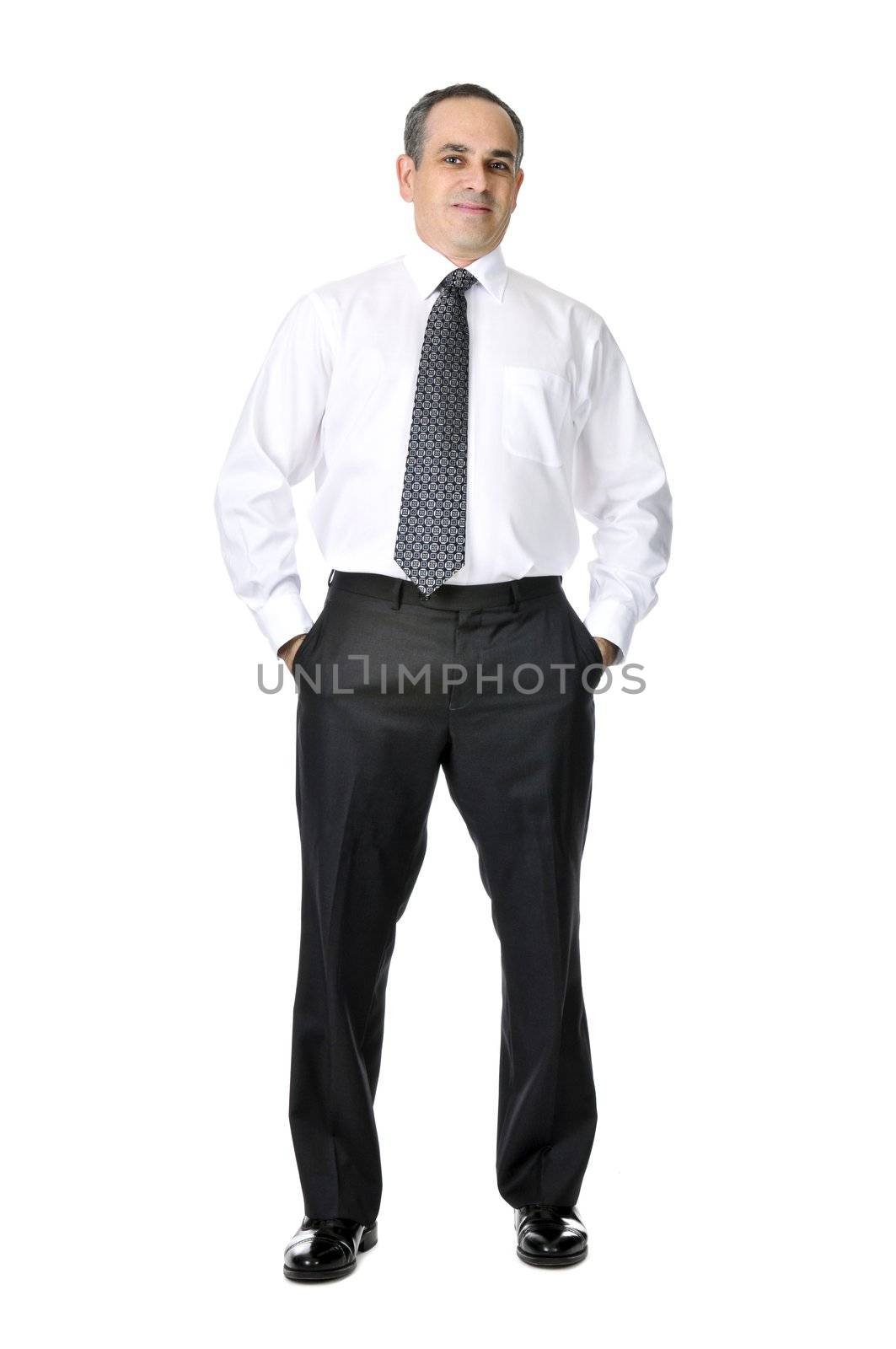 Business man in suit isolated on white background