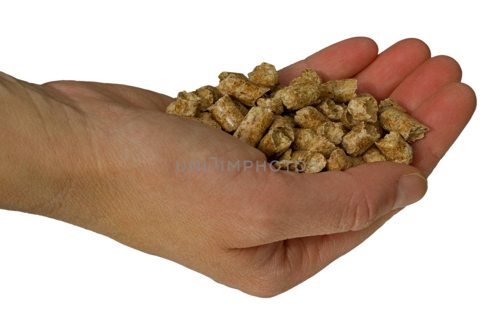 A hand holding pellets for heating, on a white isolated background