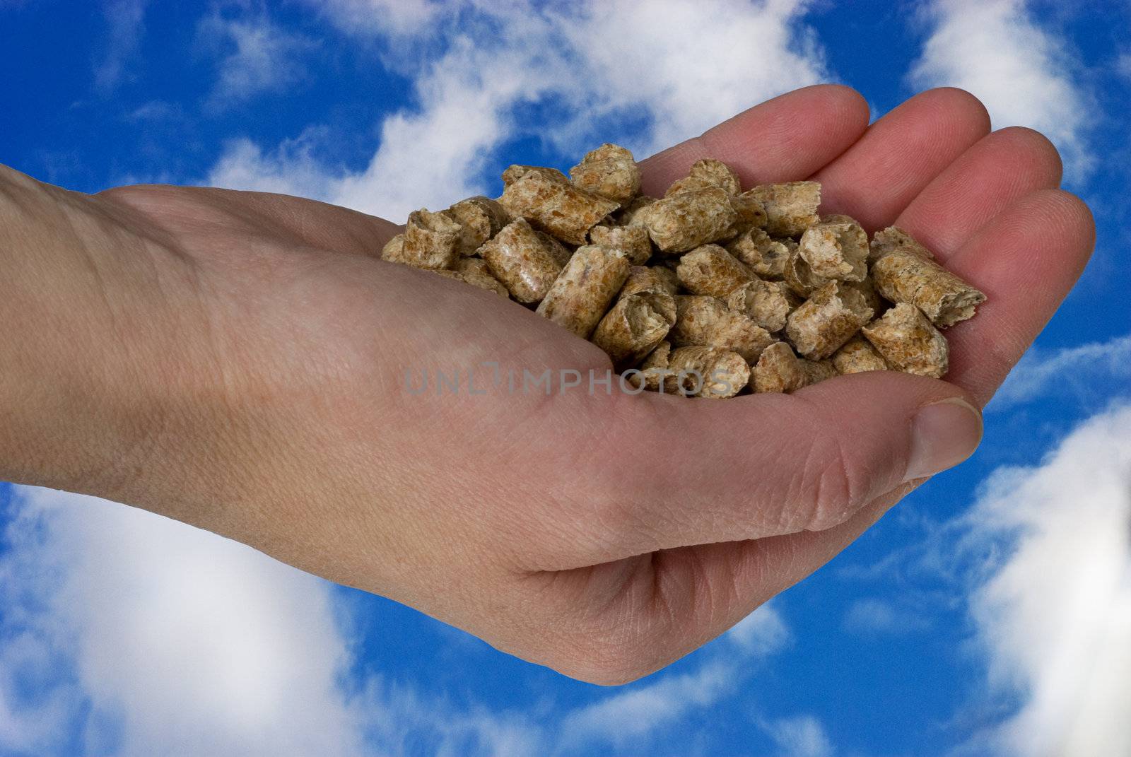 A hand holding pellets for heating, on a sky and clouds filled background.