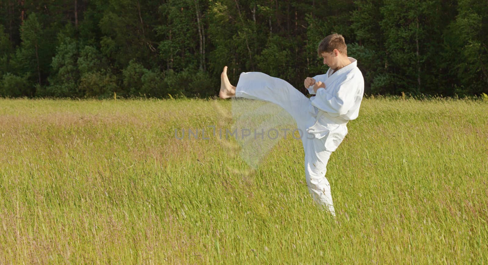 The man in a kimono fulfills blows by feet in the field