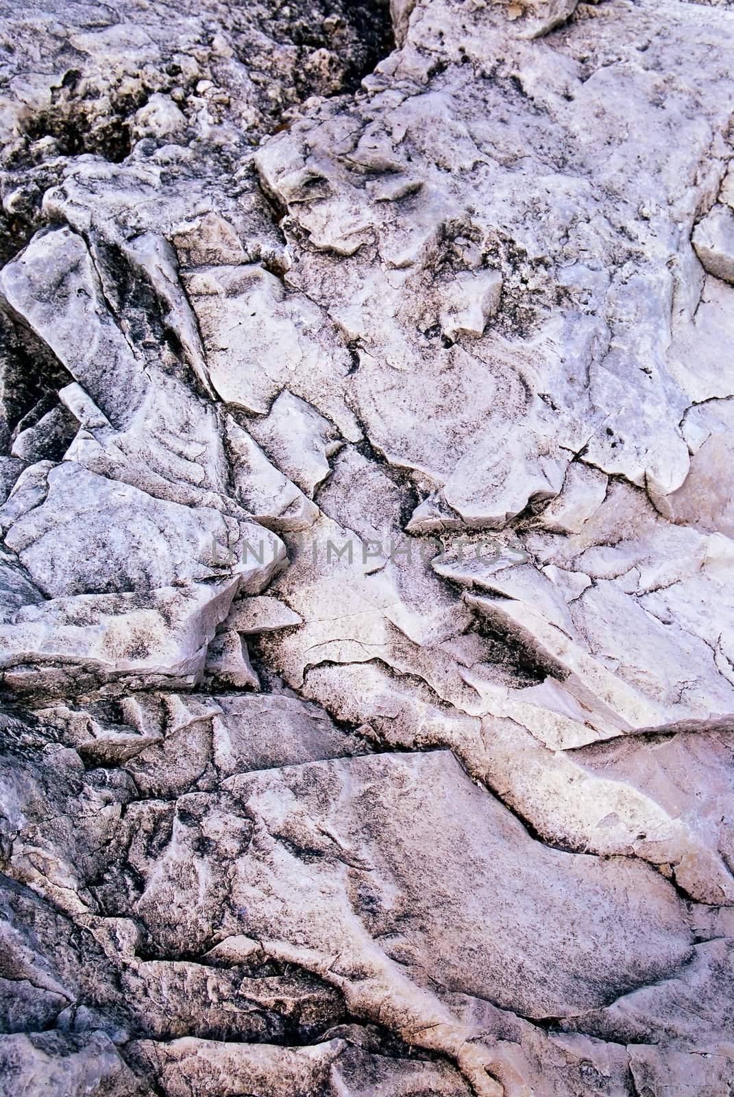 Rock patterns at shore of Georgian Bay