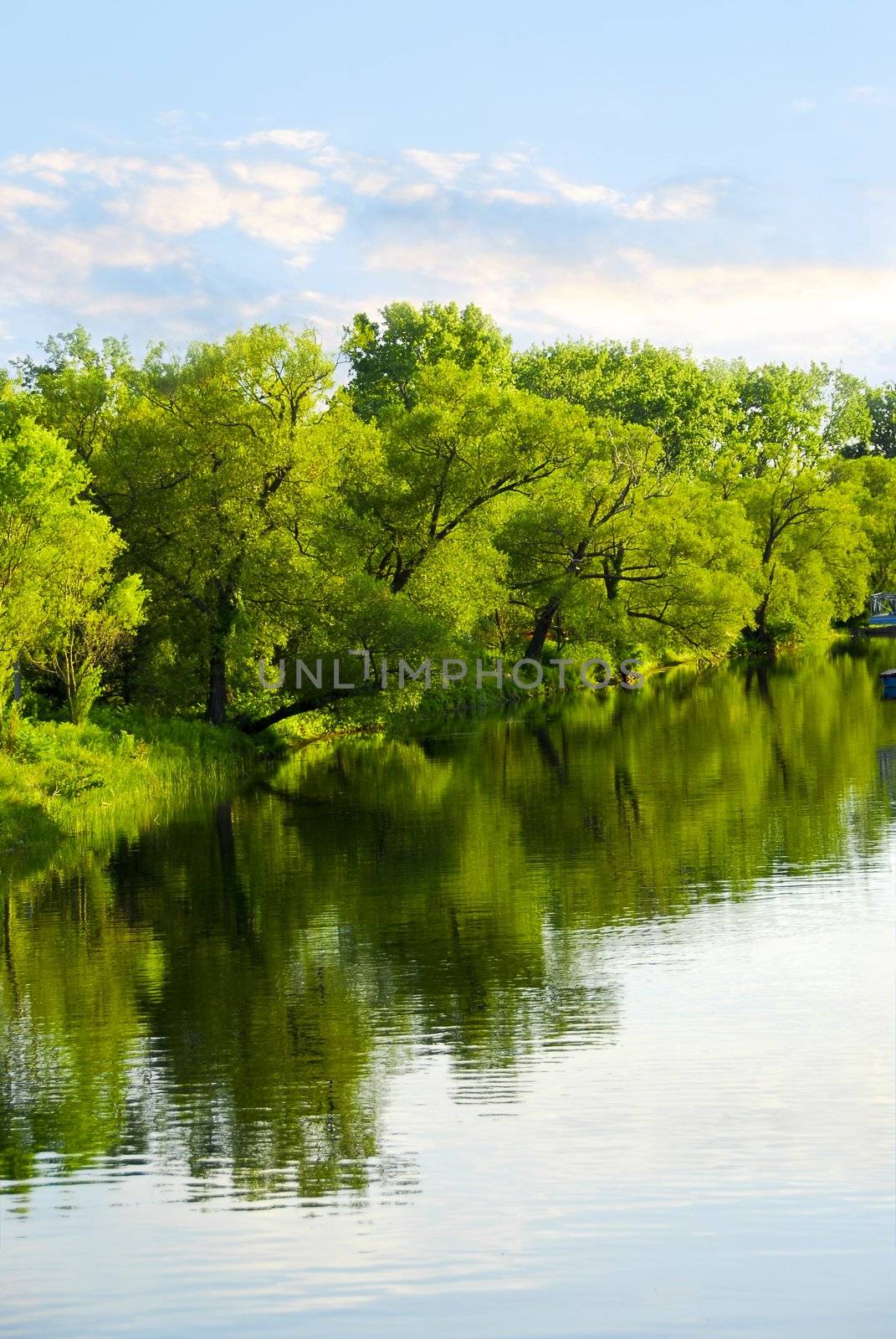 Reflection of green trees in calm water with blue sky