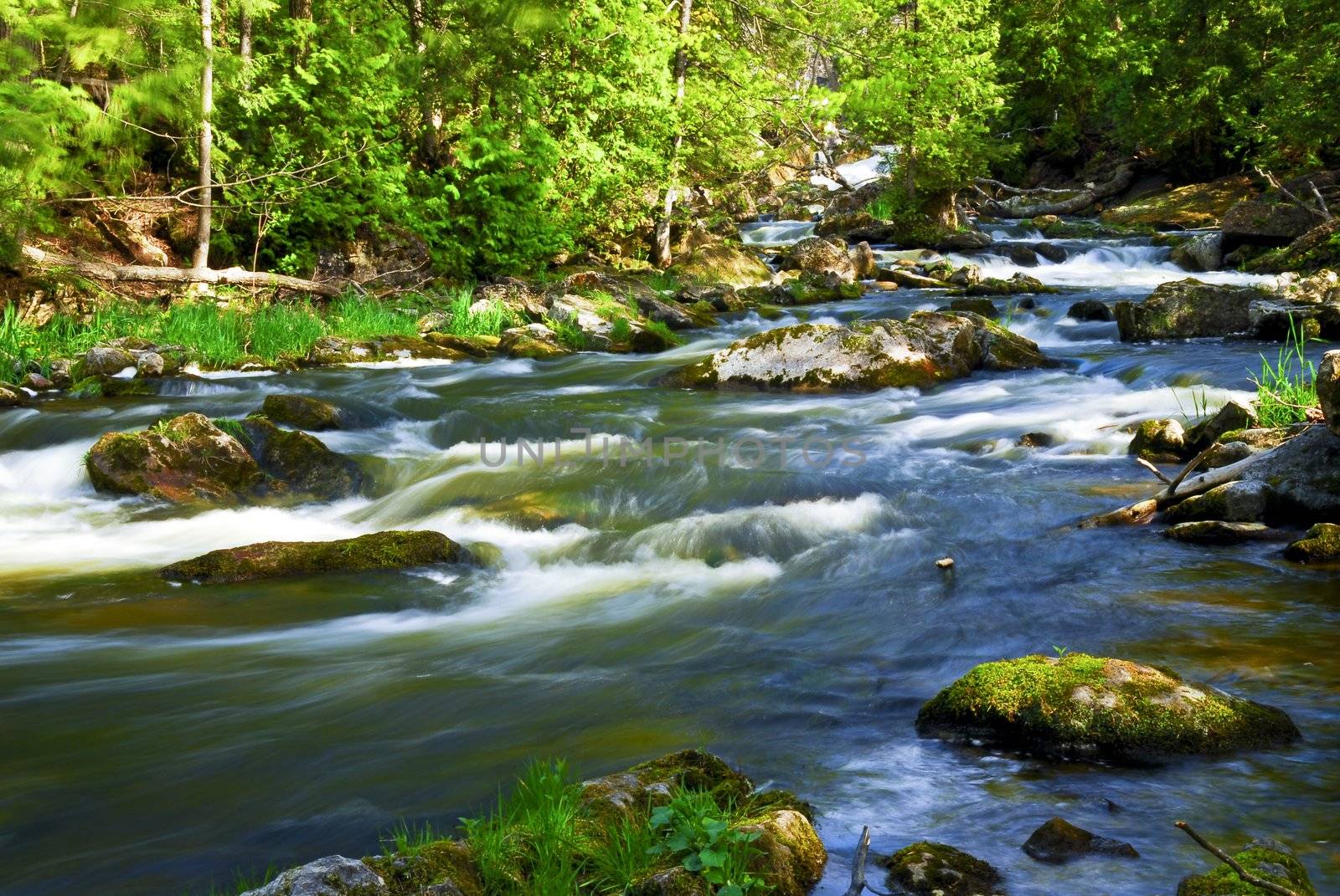 Water rushing among rocks in river rapids in Ontario Canada