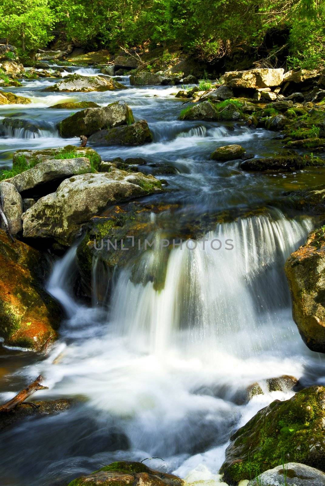 Water rushing among rocks in river rapids in Ontario Canada