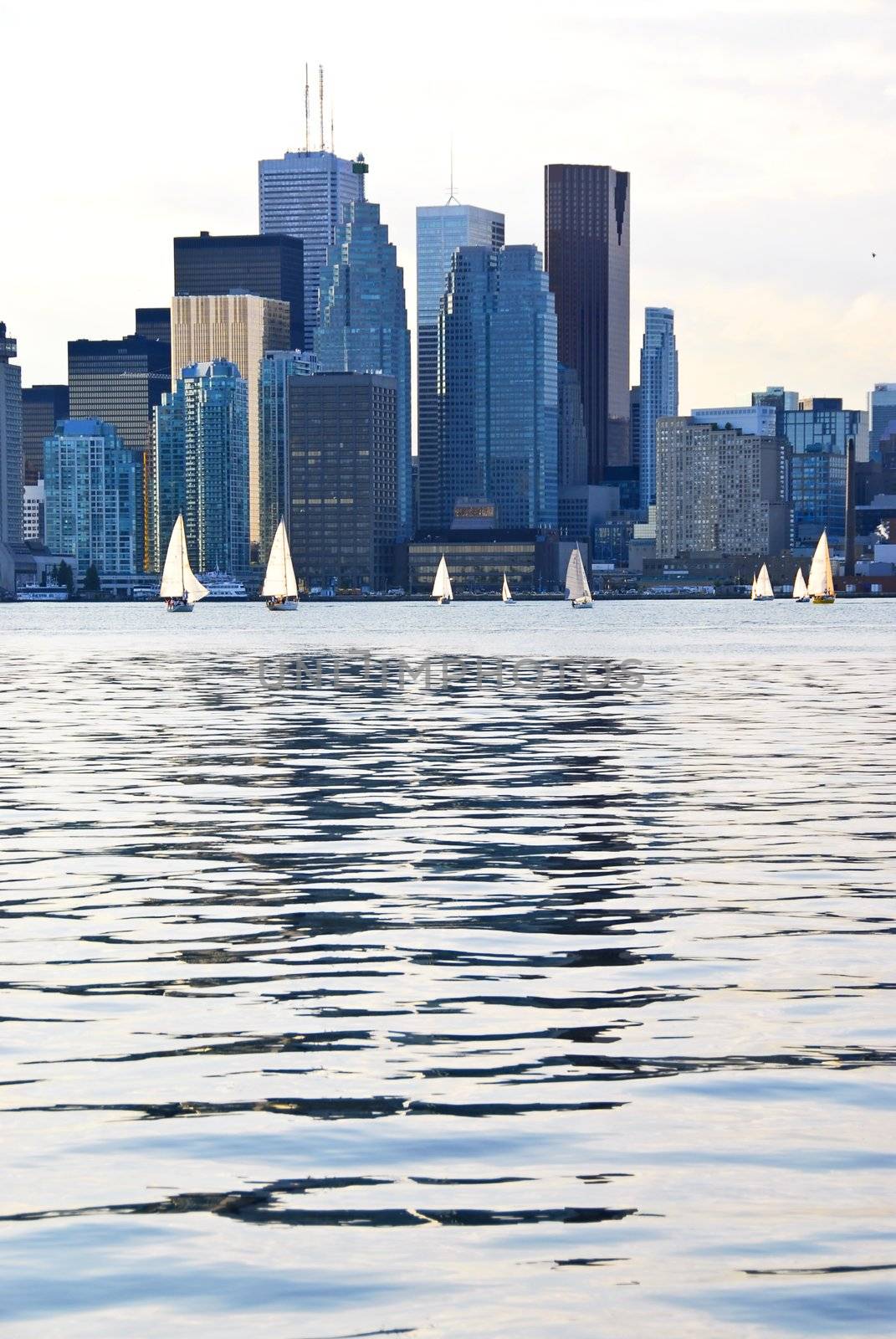 Toronto harbor skyline with skyscrapers and sailboat