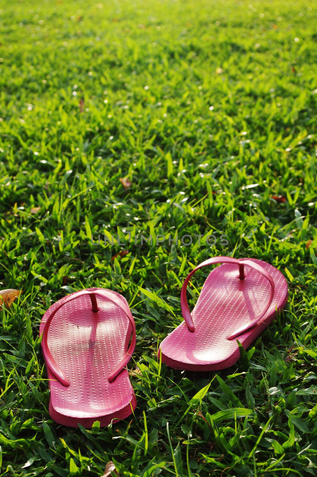 A pair of slippers are left on field of a relaxed day.