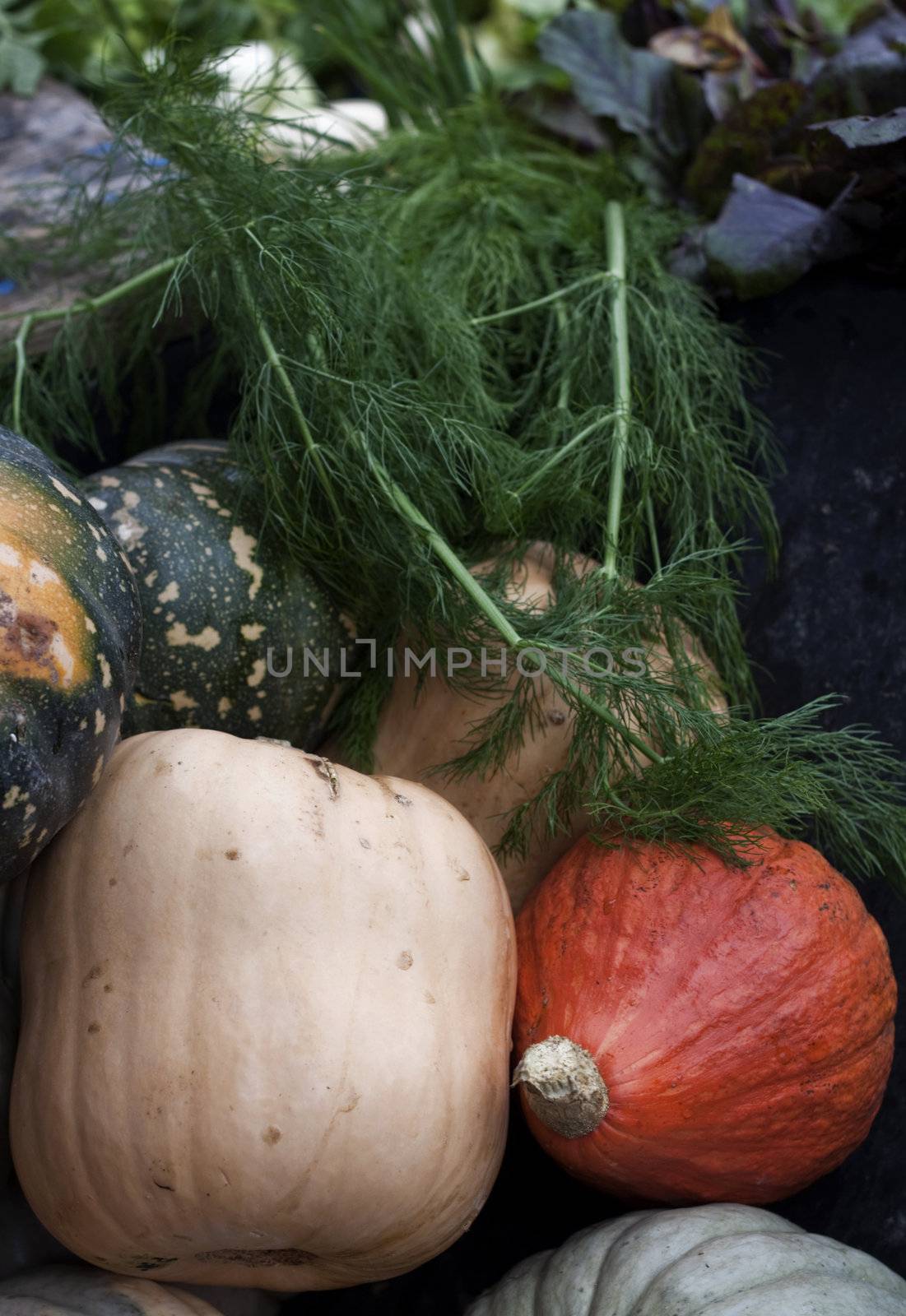 Pumkins for sale at organic market