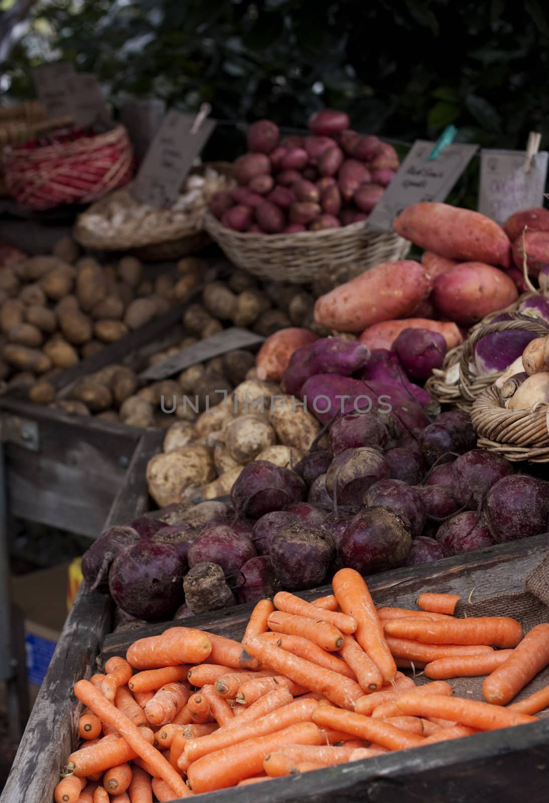 vegetables for sale at organic market