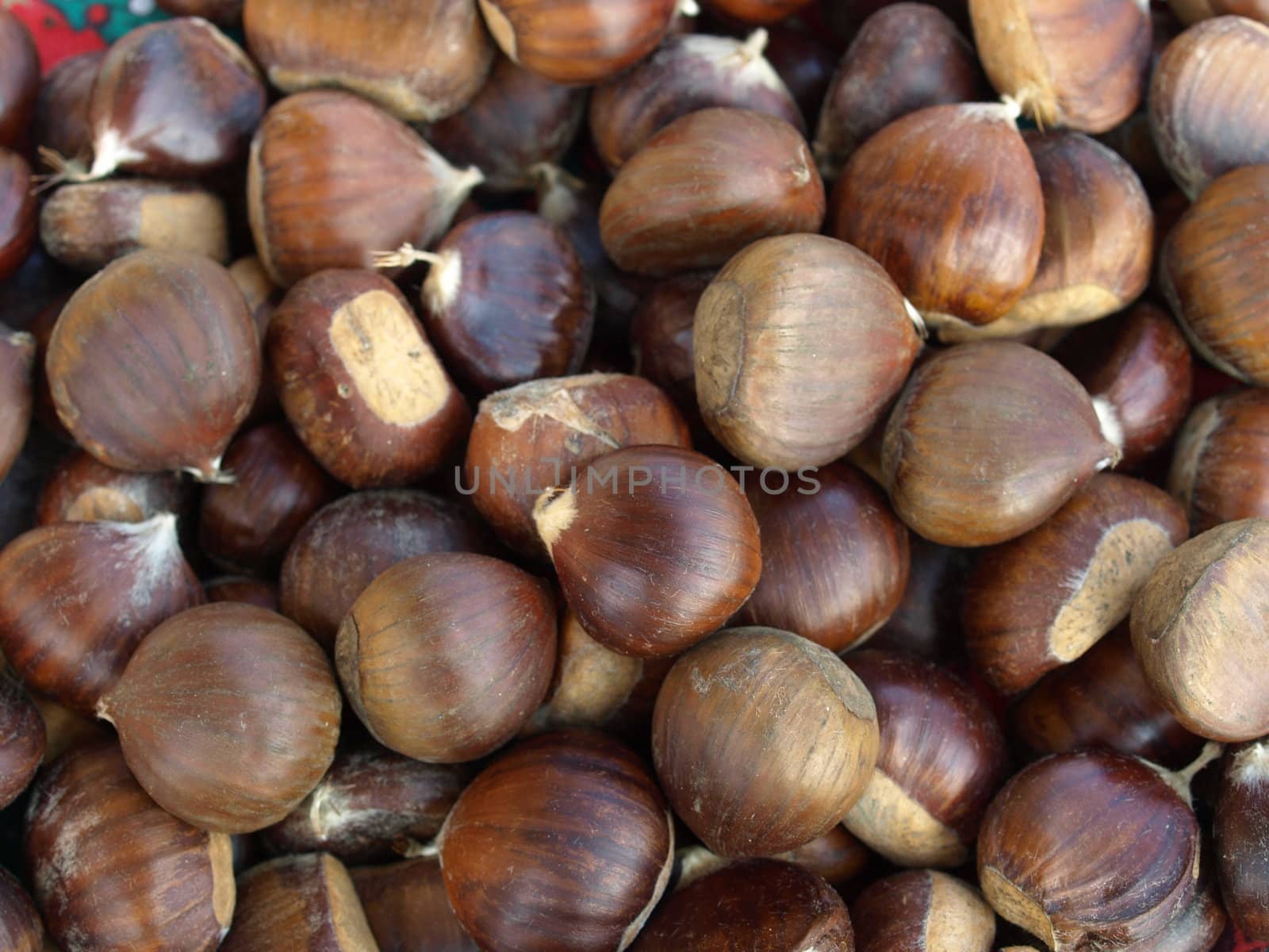 Chestnuts by claudiodivizia