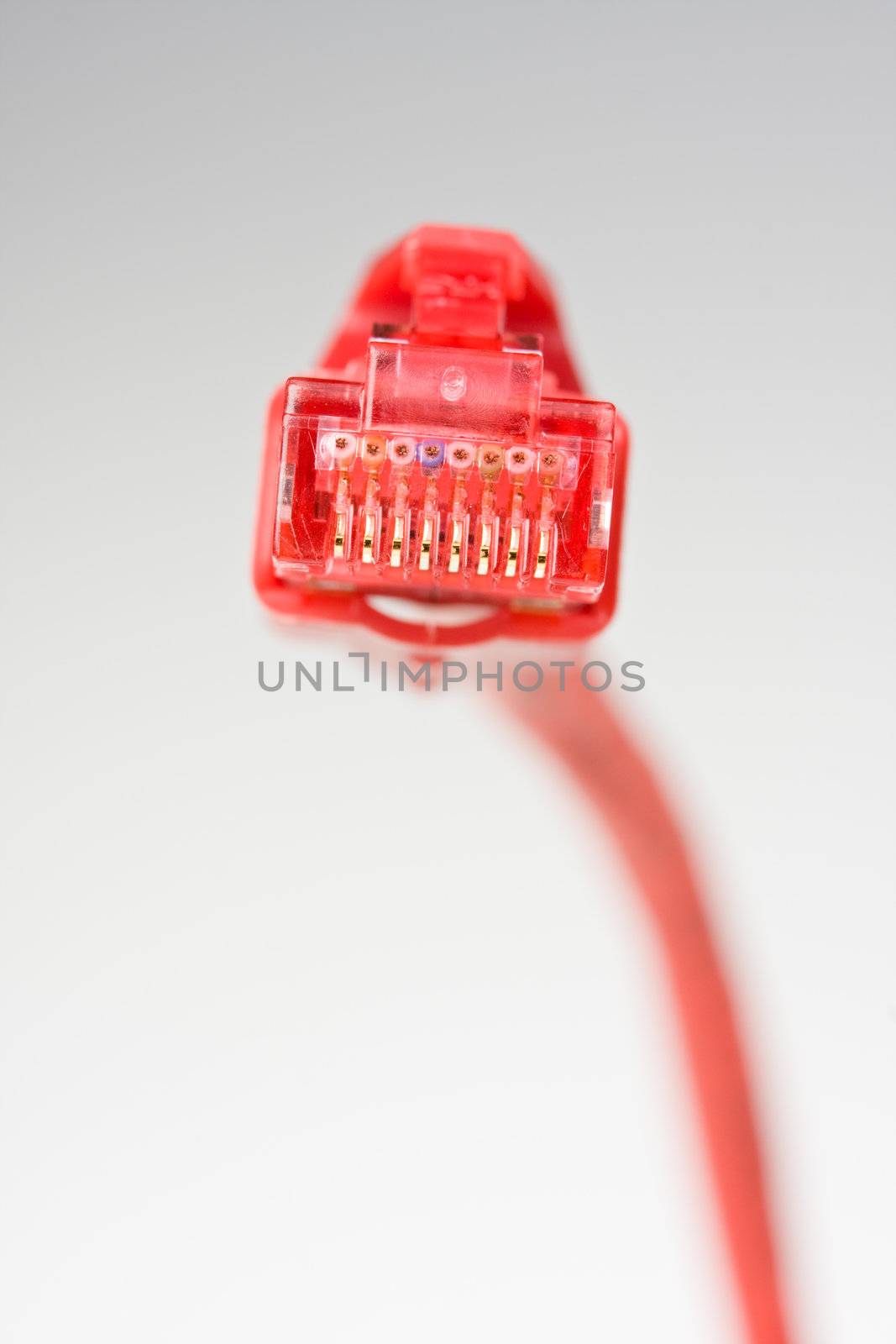 detail of a computer plug isolated on white background by bernjuer