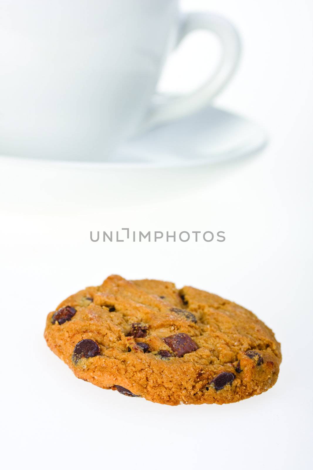 closeup of a chocolate cookie isolated by bernjuer