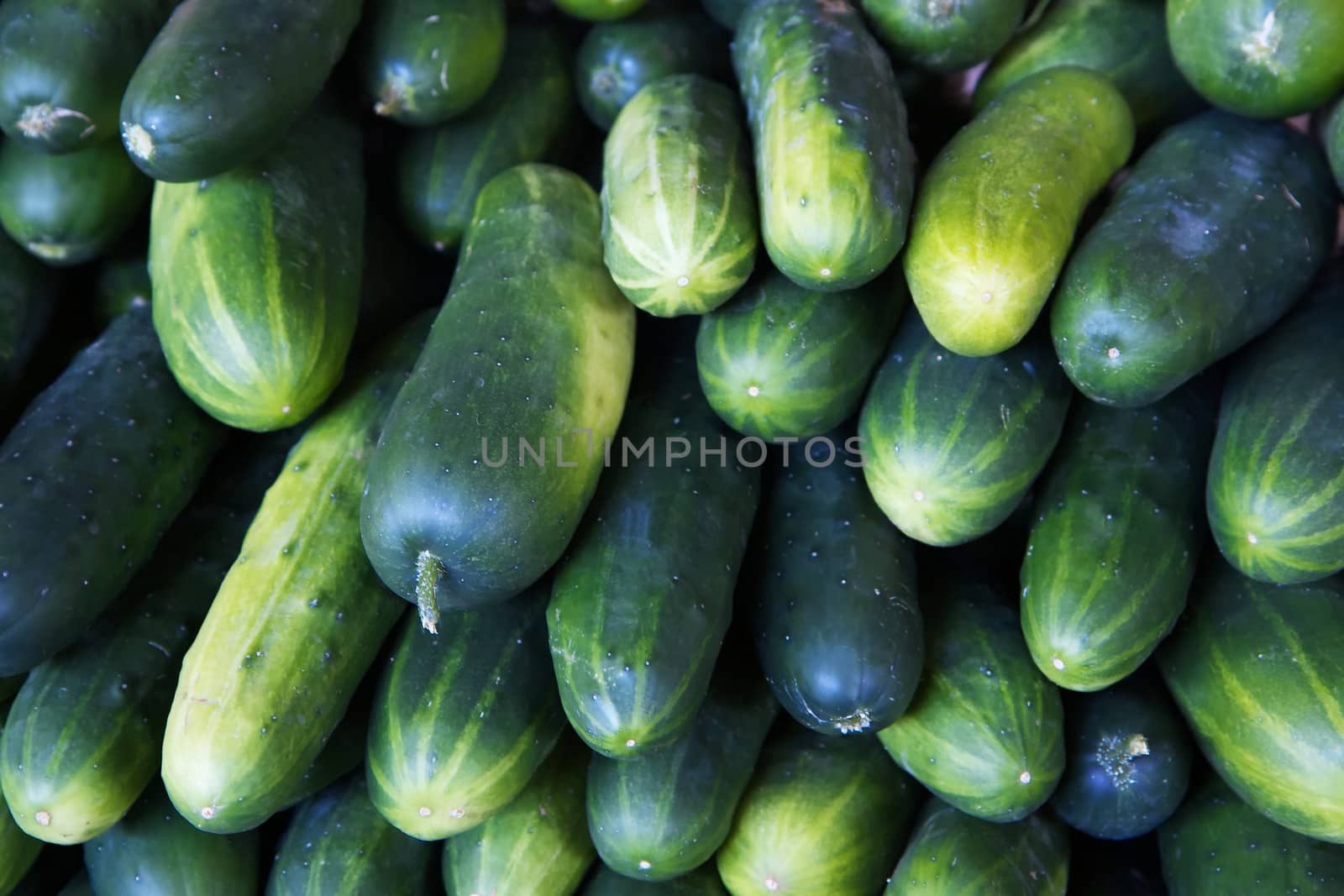 Pile of Green Cucumbers at the farmers market