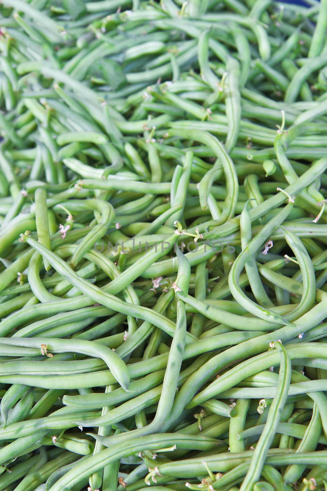 Large pile of green beanns at farmers market