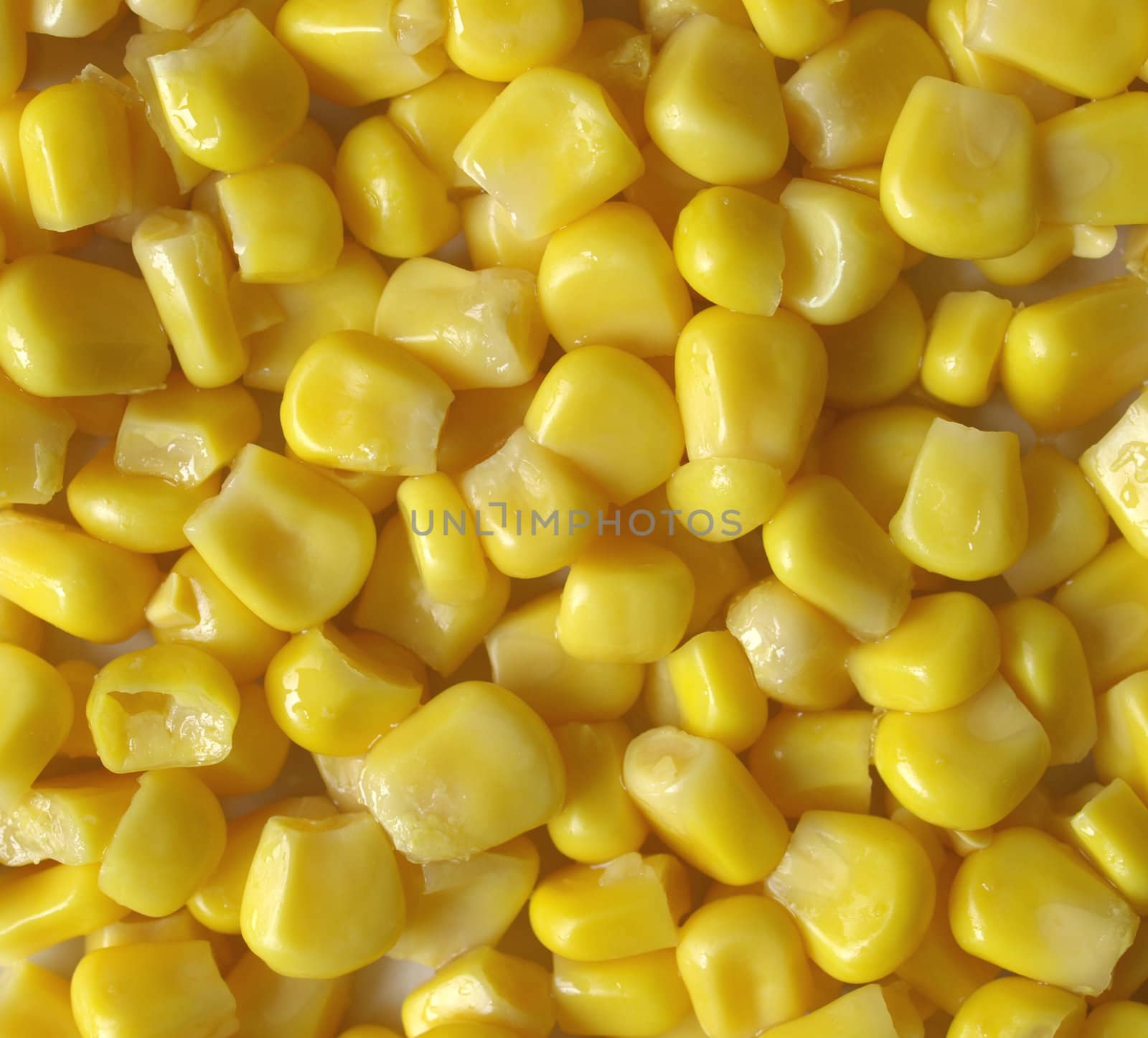 Maize corn by claudiodivizia