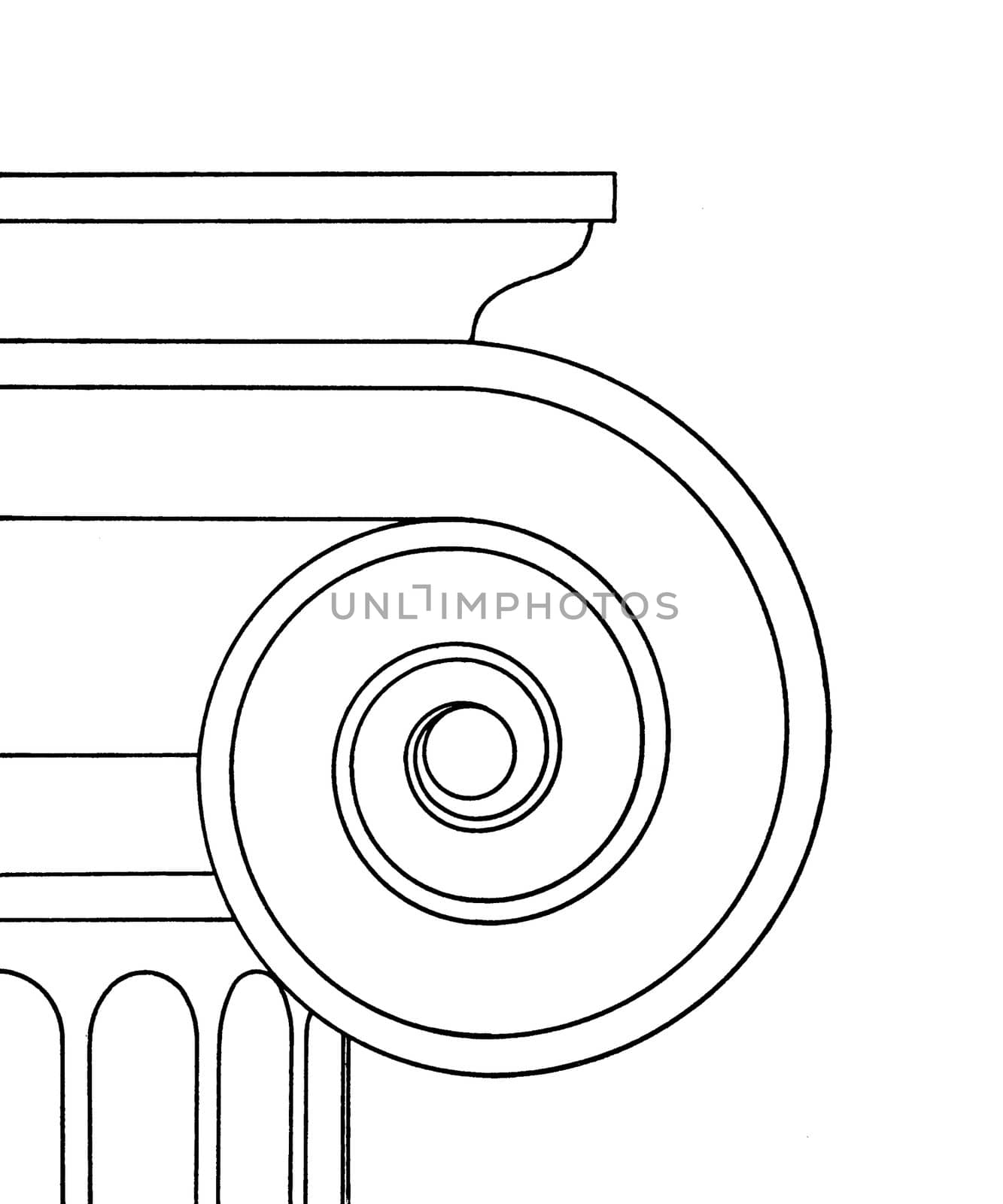 Line drawing of ionic capital