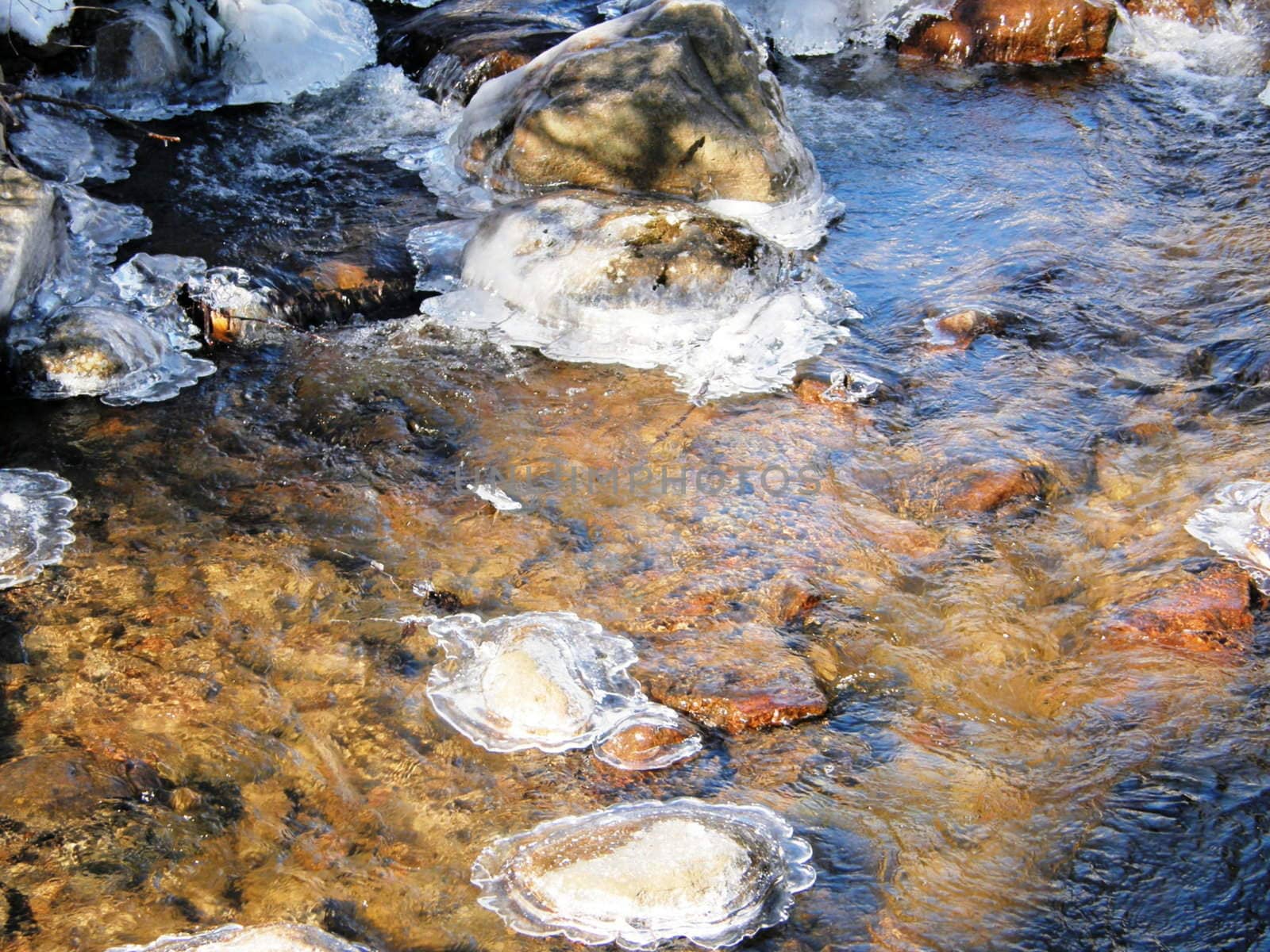 river shots in winter . Close-up and background