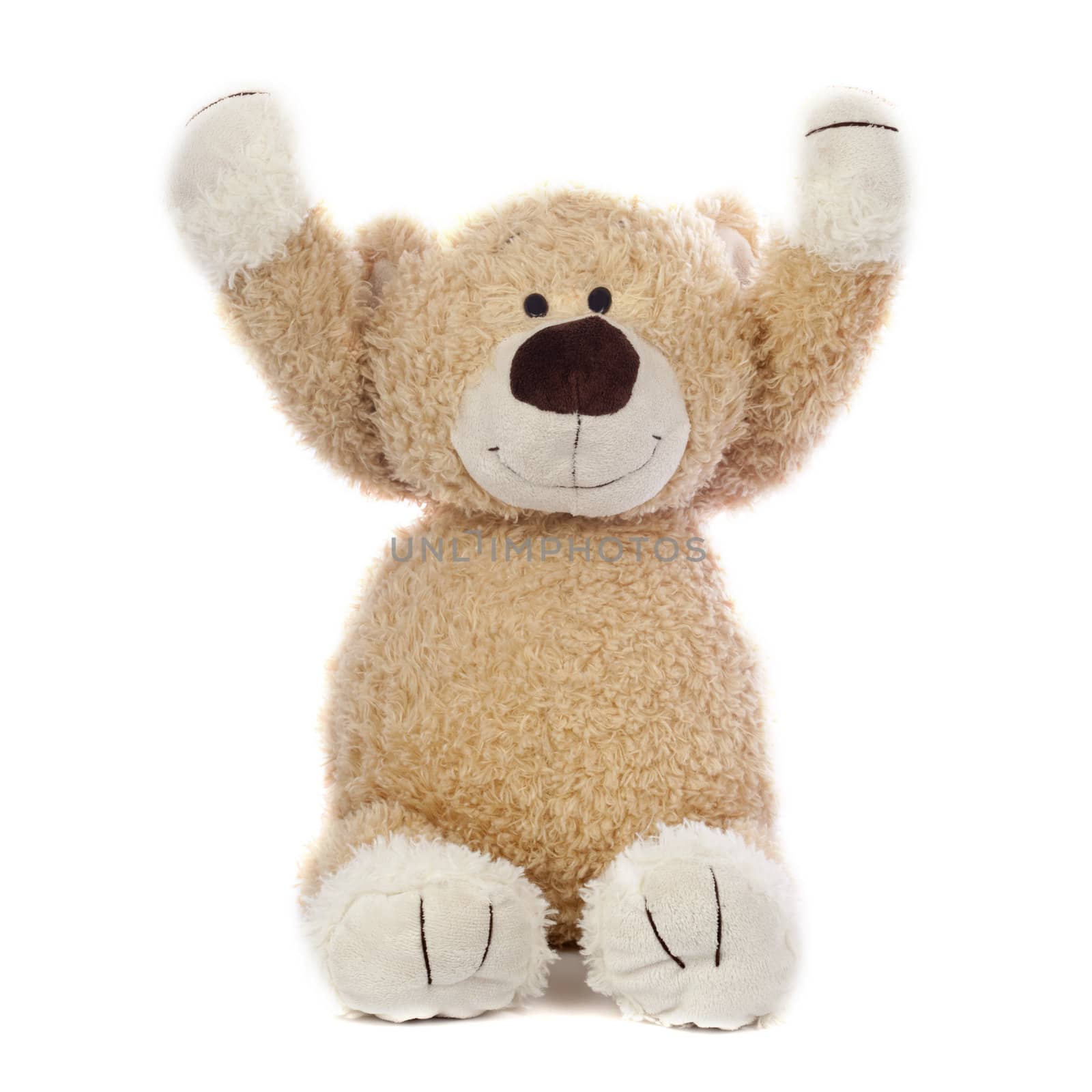 An adorable teddy bear that is happy. Isolated on a white background.